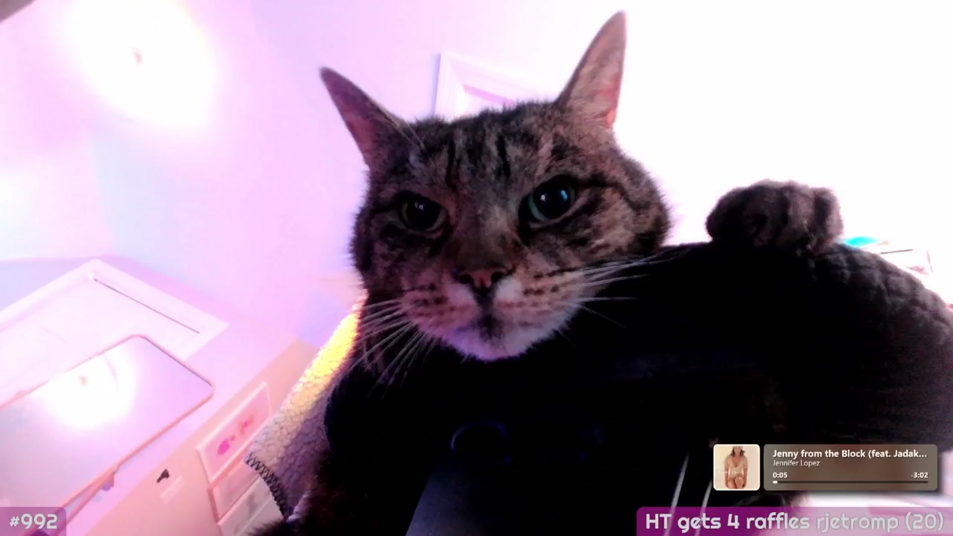 Gallery image thumbnail from MollySnacks's myfreecams stream on, 01/09/2026, 01:50 image 6 of 20