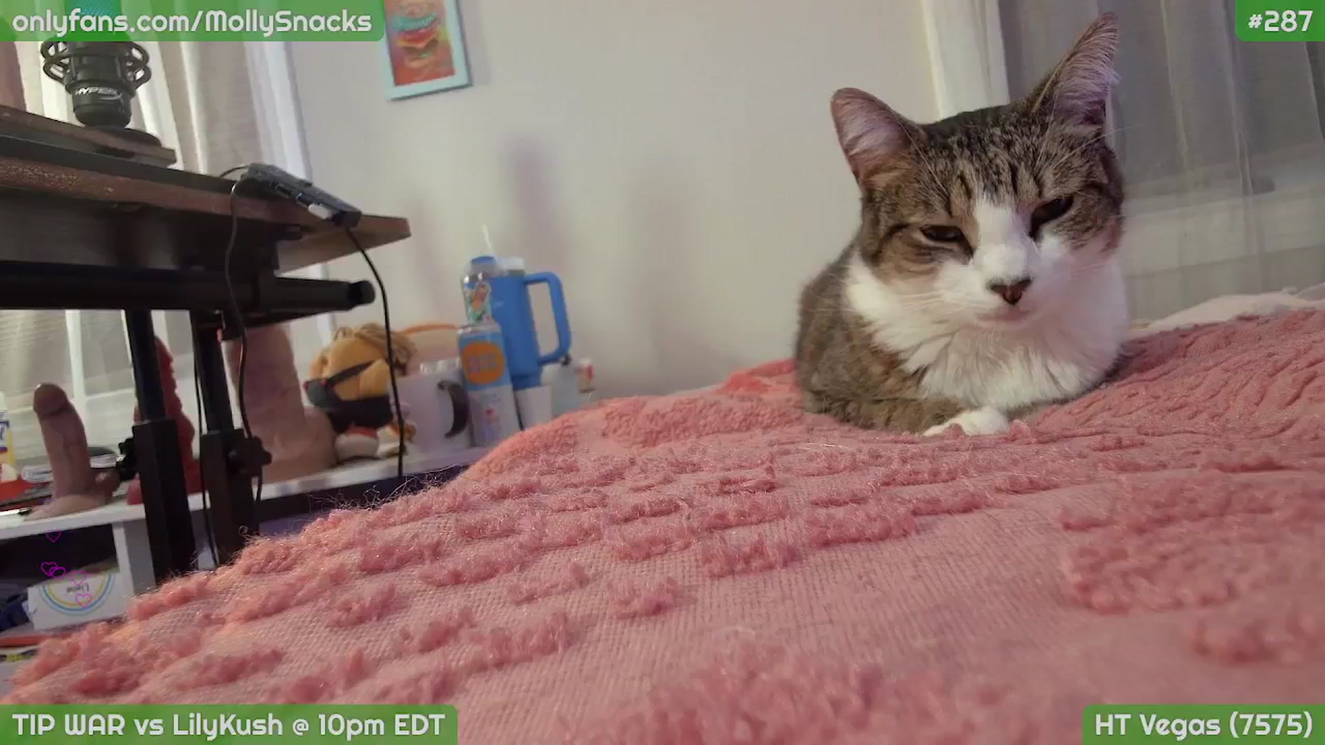 Gallery image thumbnail from MollySnacks's myfreecams stream on, 03/22/2026, 04:31 image 9 of 20