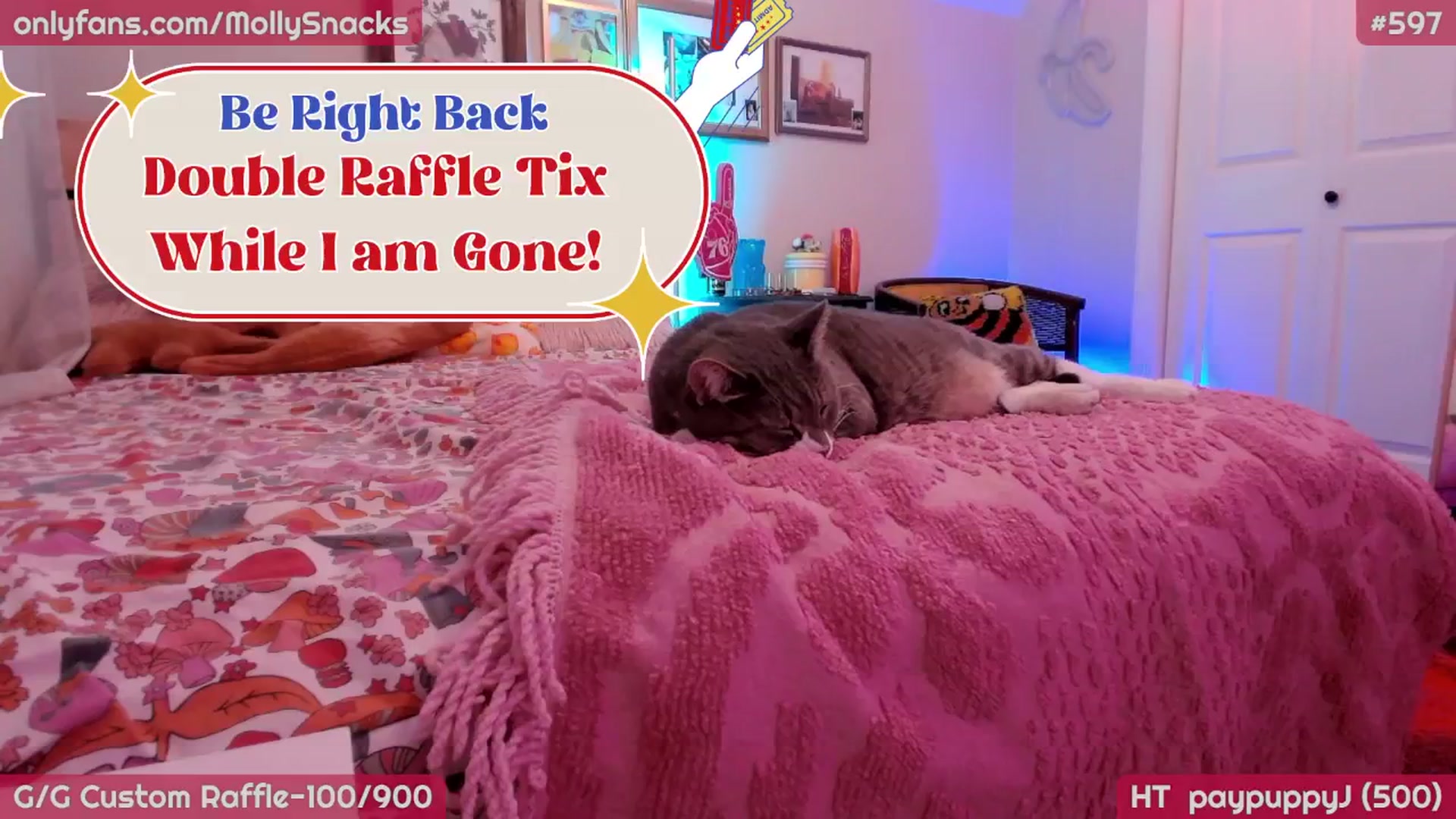 Gallery image thumbnail from MollySnacks's myfreecams stream on, 04/18/2026, 04:55 image 6 of 20