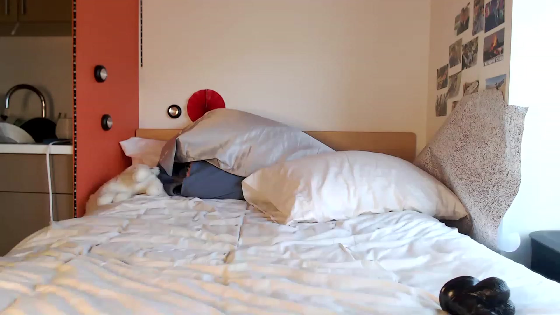Gallery image thumbnail from Molly_Moans's myfreecams stream on, 05/02/2023, 21:39 image 1 of 20