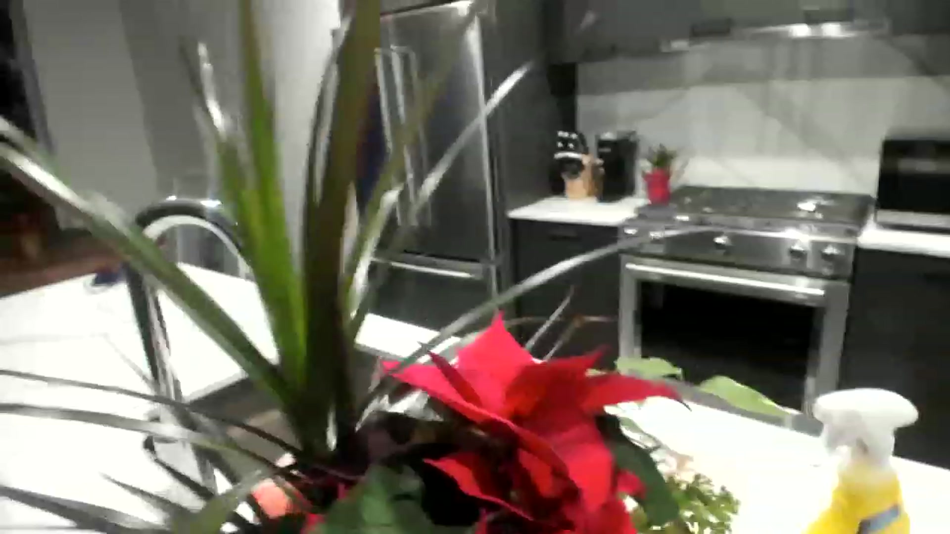 Gallery image thumbnail from Mollyboots's myfreecams stream on, 12/02/2022, 03:00 image 2 of 20
