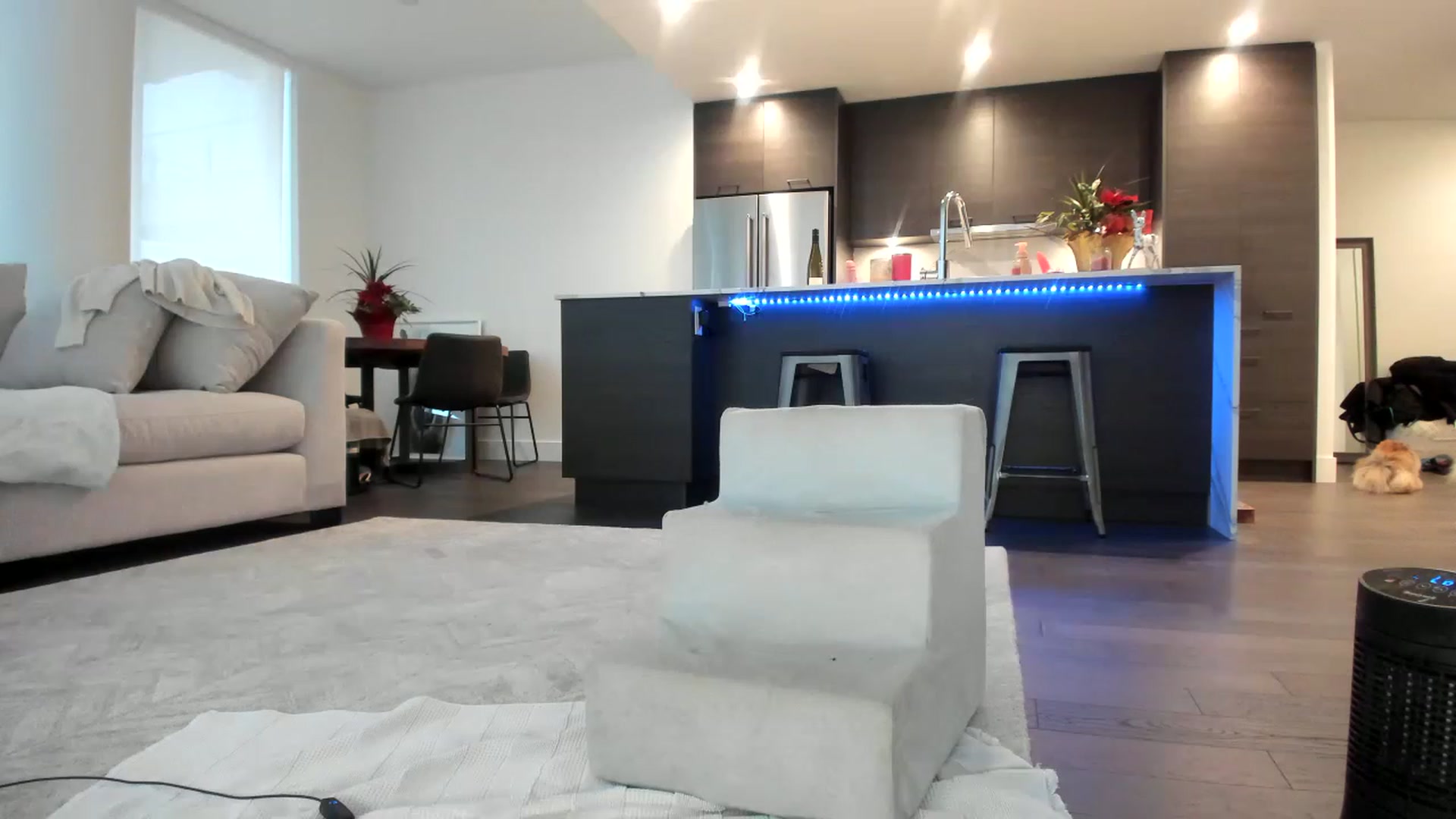 Gallery image thumbnail from Mollyboots's myfreecams stream on, 12/17/2022, 23:17 image 15 of 20
