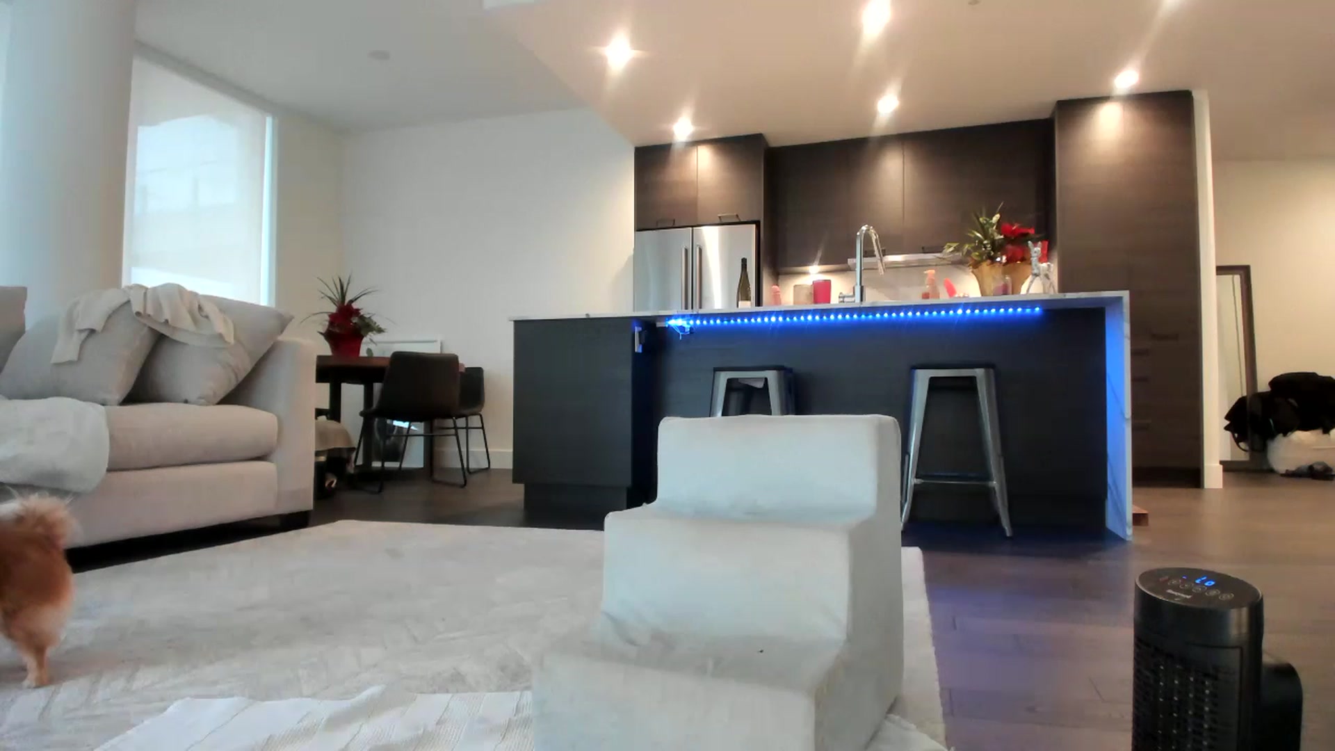 Gallery image thumbnail from Mollyboots's myfreecams stream on, 12/17/2022, 23:17 image 6 of 20