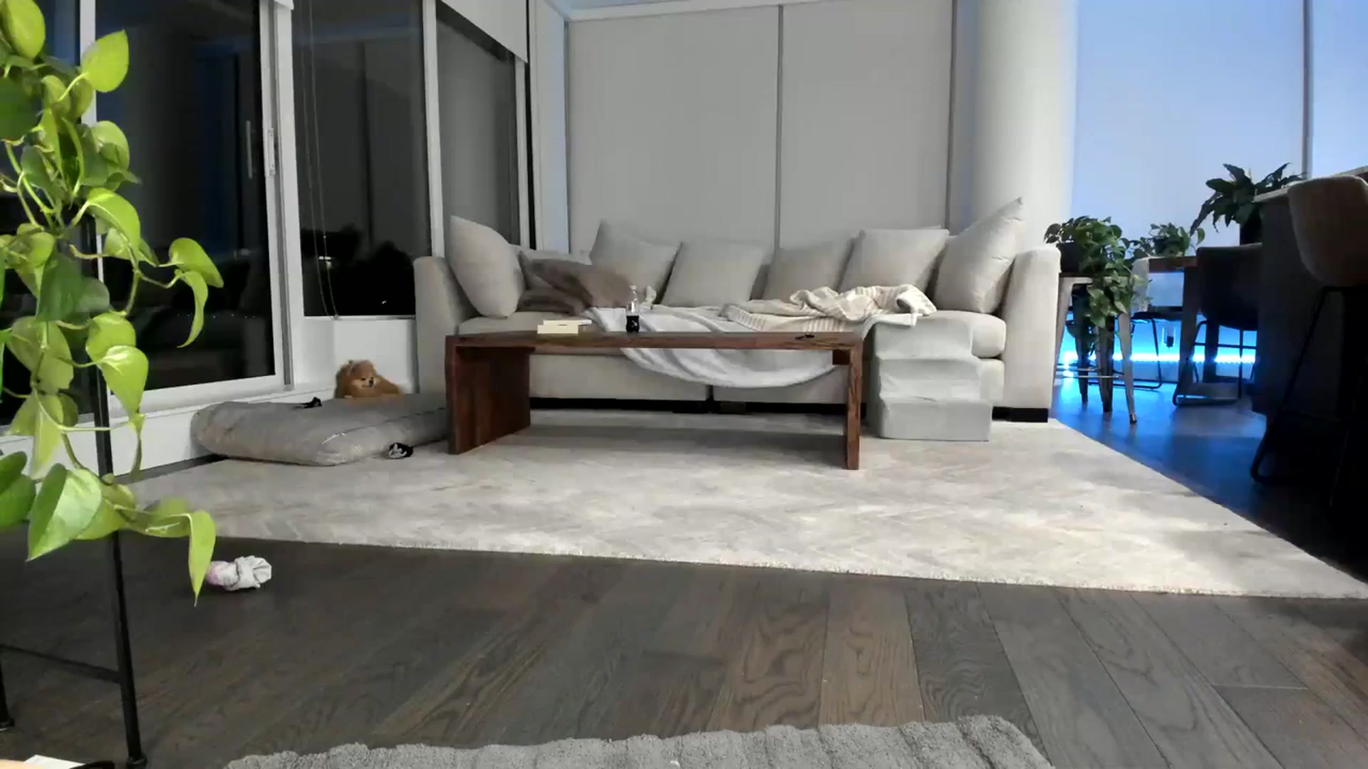 Gallery image thumbnail from Mollyboots's myfreecams stream on, 09/15/2023, 04:18 image 18 of 20