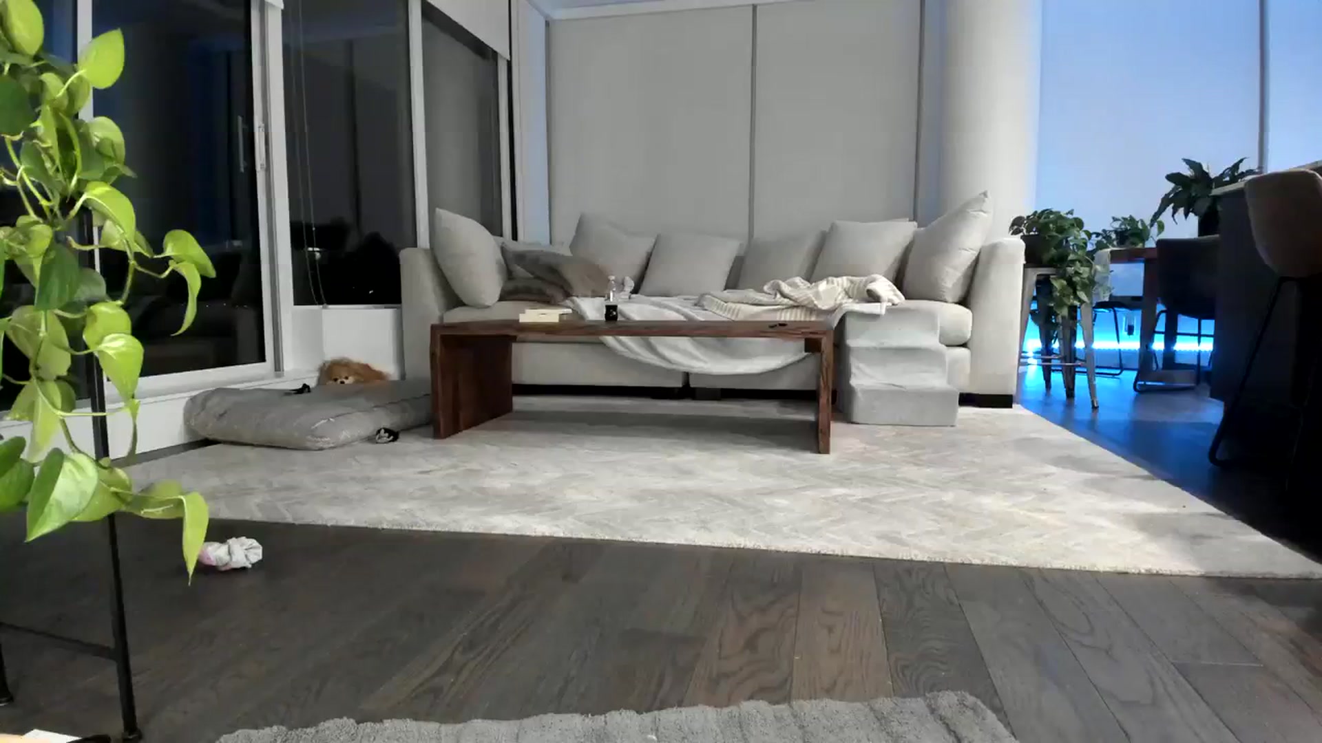 Gallery image thumbnail from Mollyboots's myfreecams stream on, 09/15/2023, 04:18 image 17 of 20