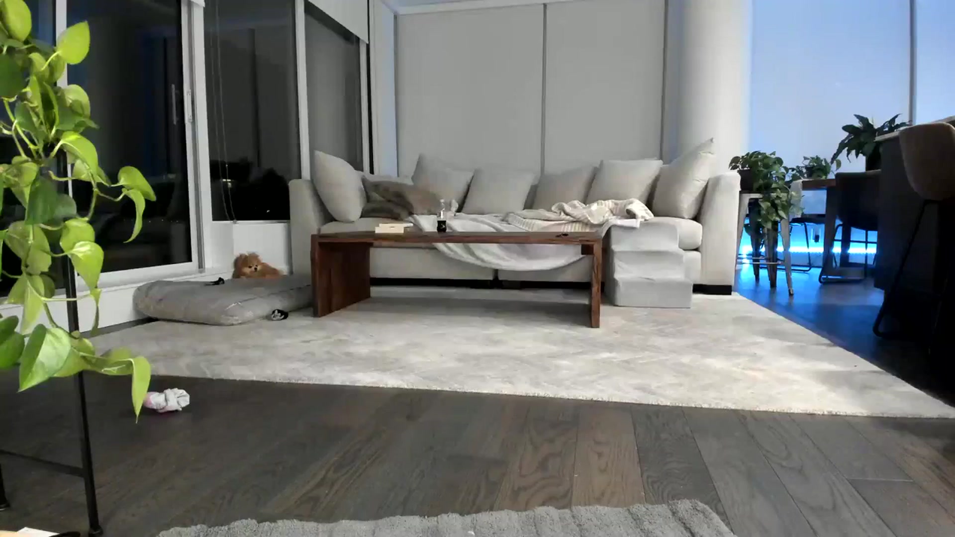 Gallery image thumbnail from Mollyboots's myfreecams stream on, 09/15/2023, 04:18 image 19 of 20
