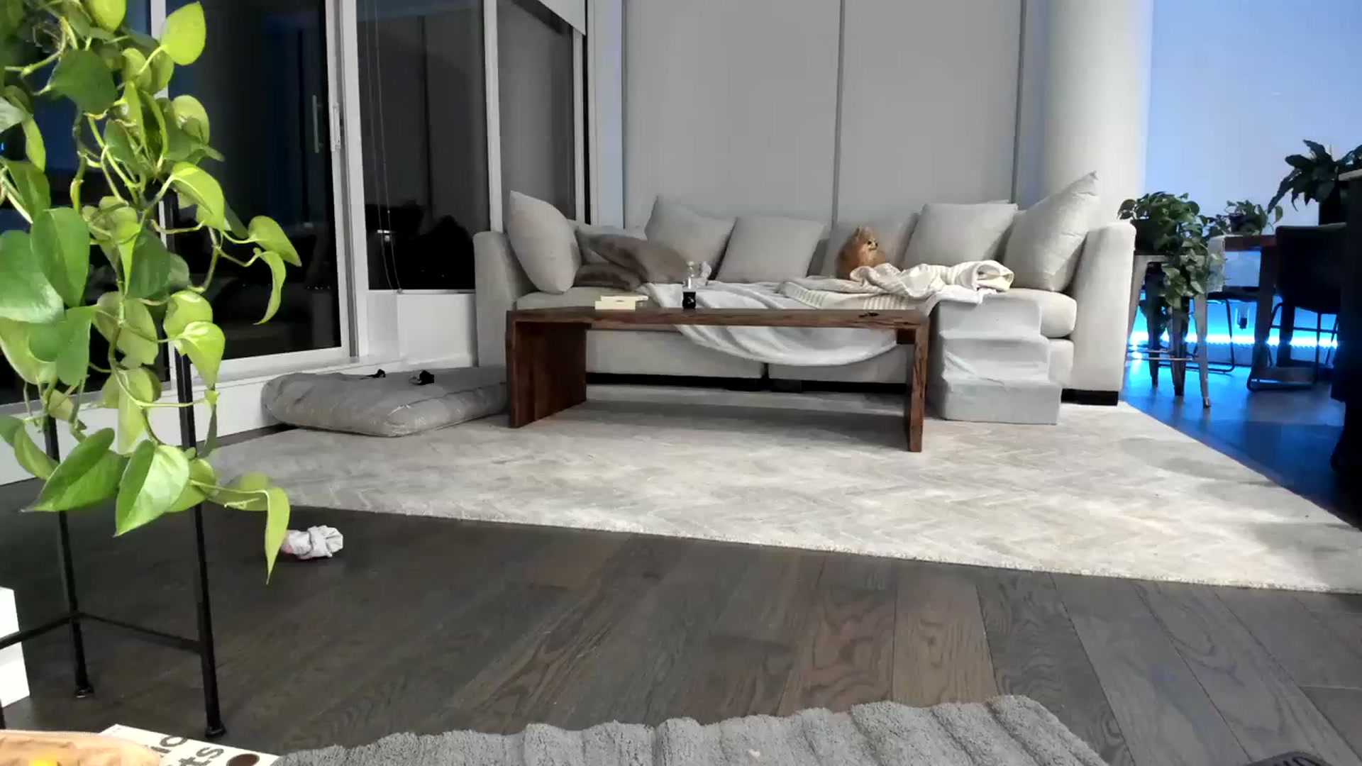 Gallery image thumbnail from Mollyboots's myfreecams stream on, 09/15/2023, 04:18 image 3 of 20