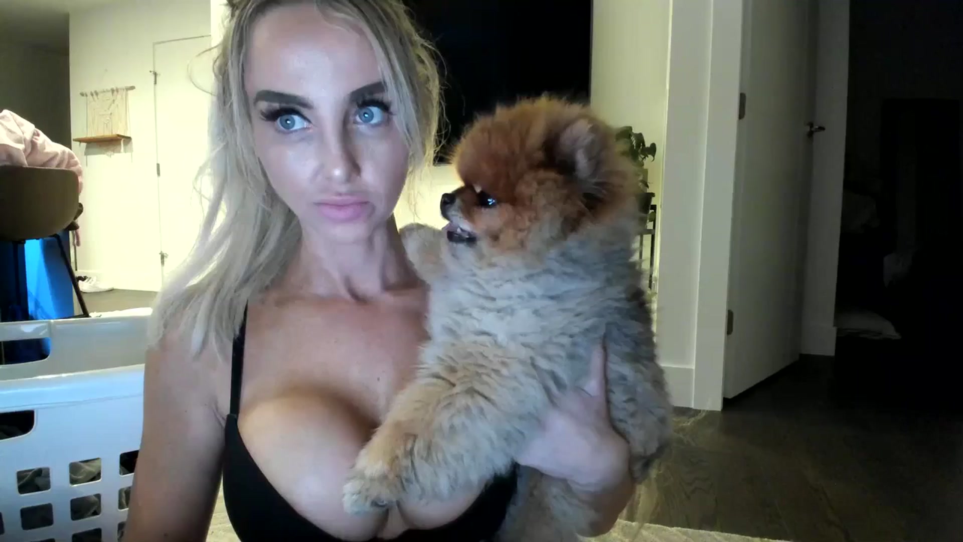 Gallery image thumbnail from Mollyboots's myfreecams stream on, 09/28/2023, 03:45 image 18 of 20