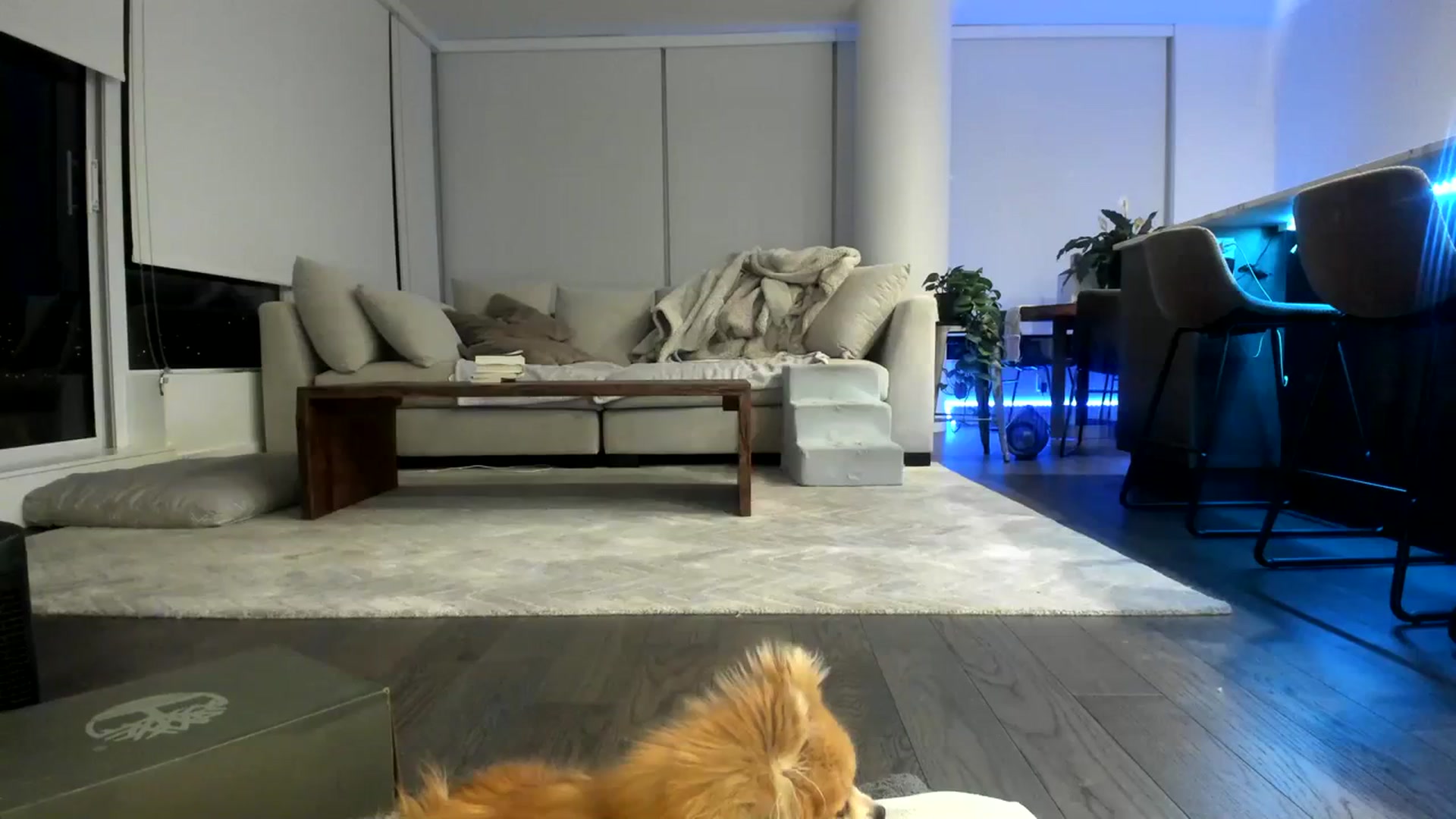 Gallery image thumbnail from Mollyboots's myfreecams stream on, 10/25/2023, 03:20 image 3 of 20