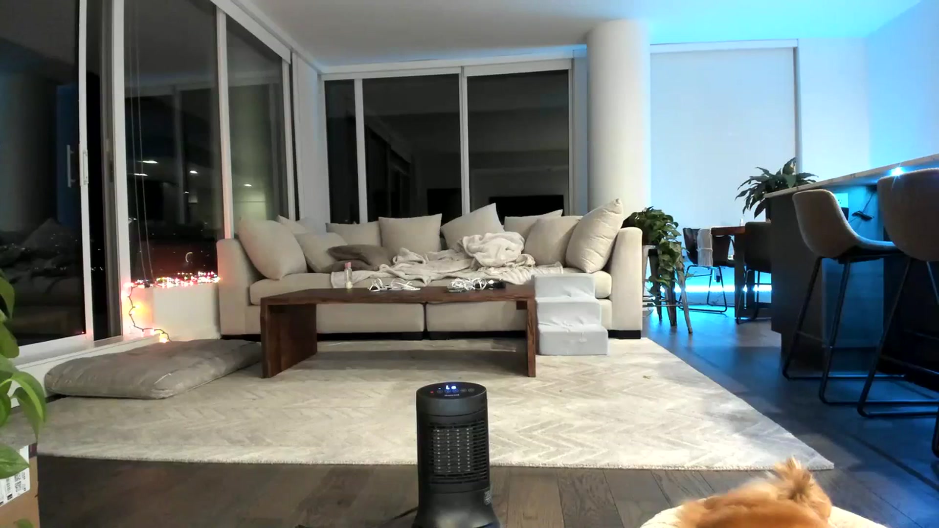 Gallery image thumbnail from Mollyboots's myfreecams stream on, 11/19/2023, 05:44 image 4 of 20