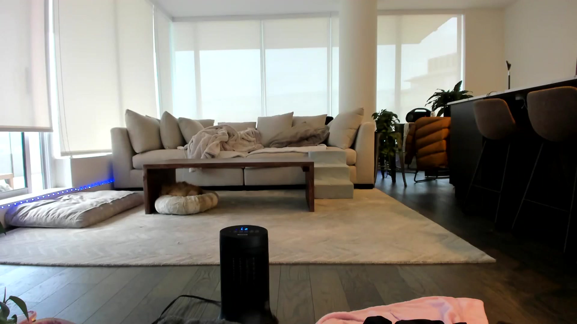 Gallery image thumbnail from Mollyboots's myfreecams stream on, 12/01/2023, 22:44 image 12 of 20