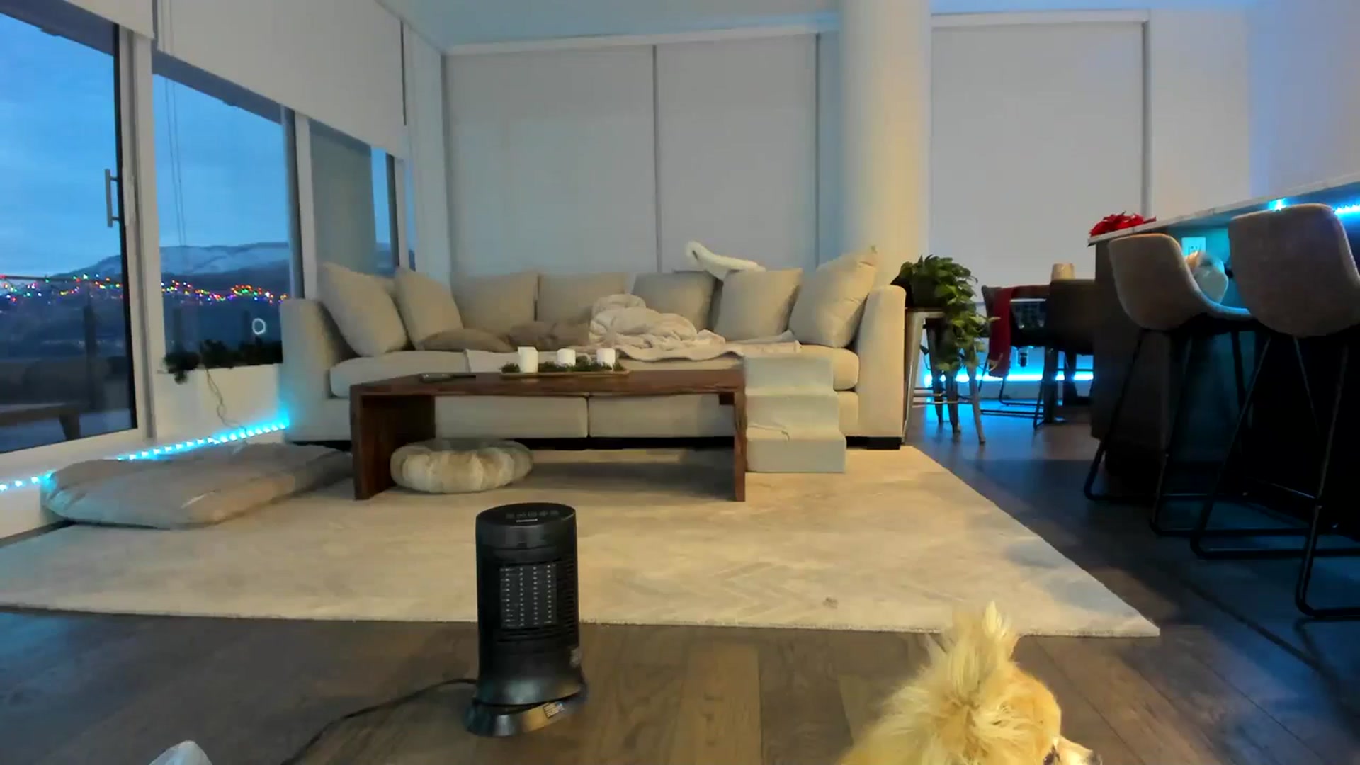 Gallery image thumbnail from Mollyboots's myfreecams stream on, 12/19/2023, 24:20 image 19 of 20