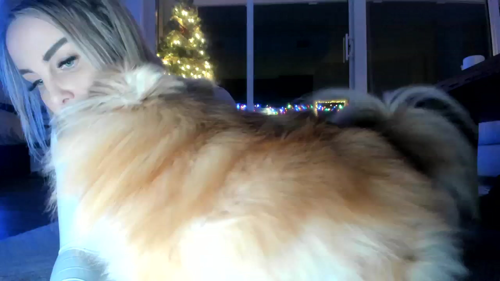 Gallery image thumbnail from Mollyboots's myfreecams stream on, 12/28/2023, 04:41 image 17 of 20