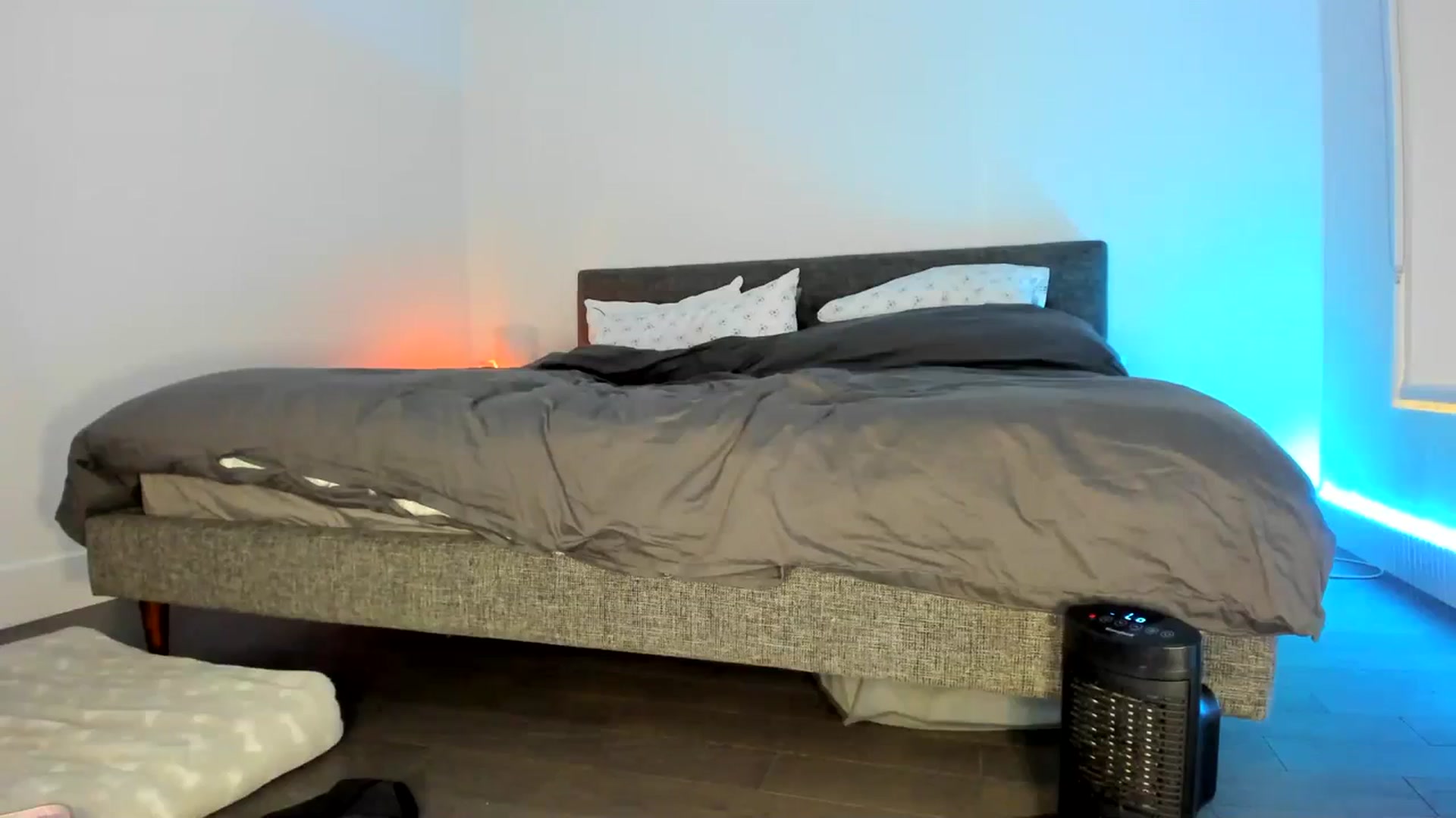Gallery image thumbnail from Mollyboots's myfreecams stream on, 02/08/2024, 05:11 image 12 of 20