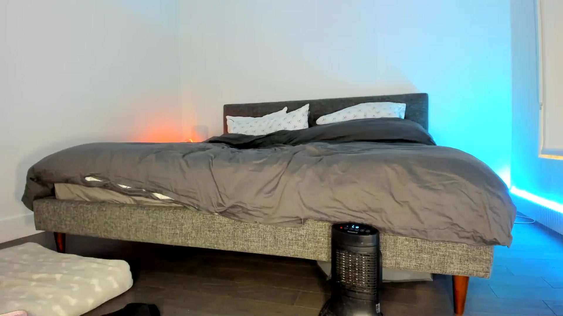Gallery image thumbnail from Mollyboots's myfreecams stream on, 02/08/2024, 05:11 image 5 of 20