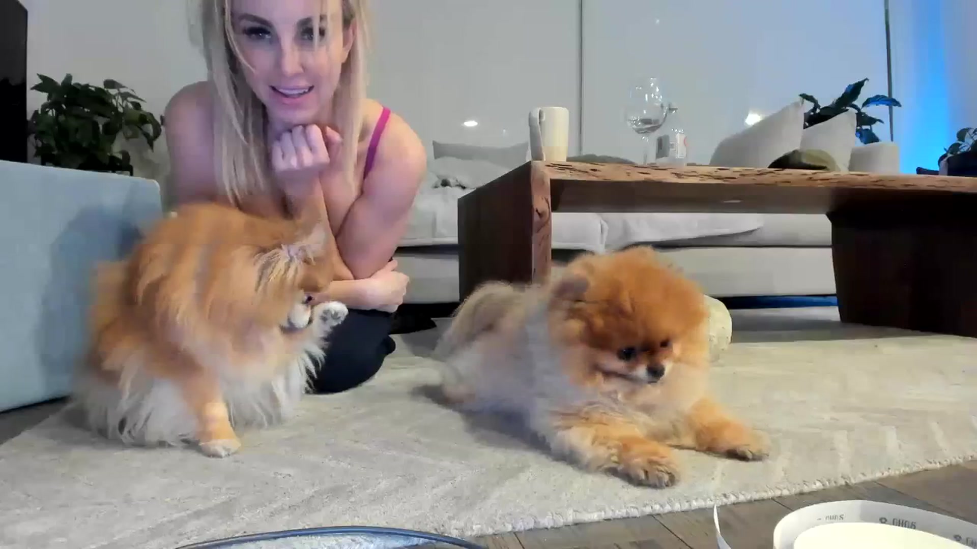 Gallery image thumbnail from Mollyboots's myfreecams stream on, 02/11/2024, 05:01 image 19 of 20