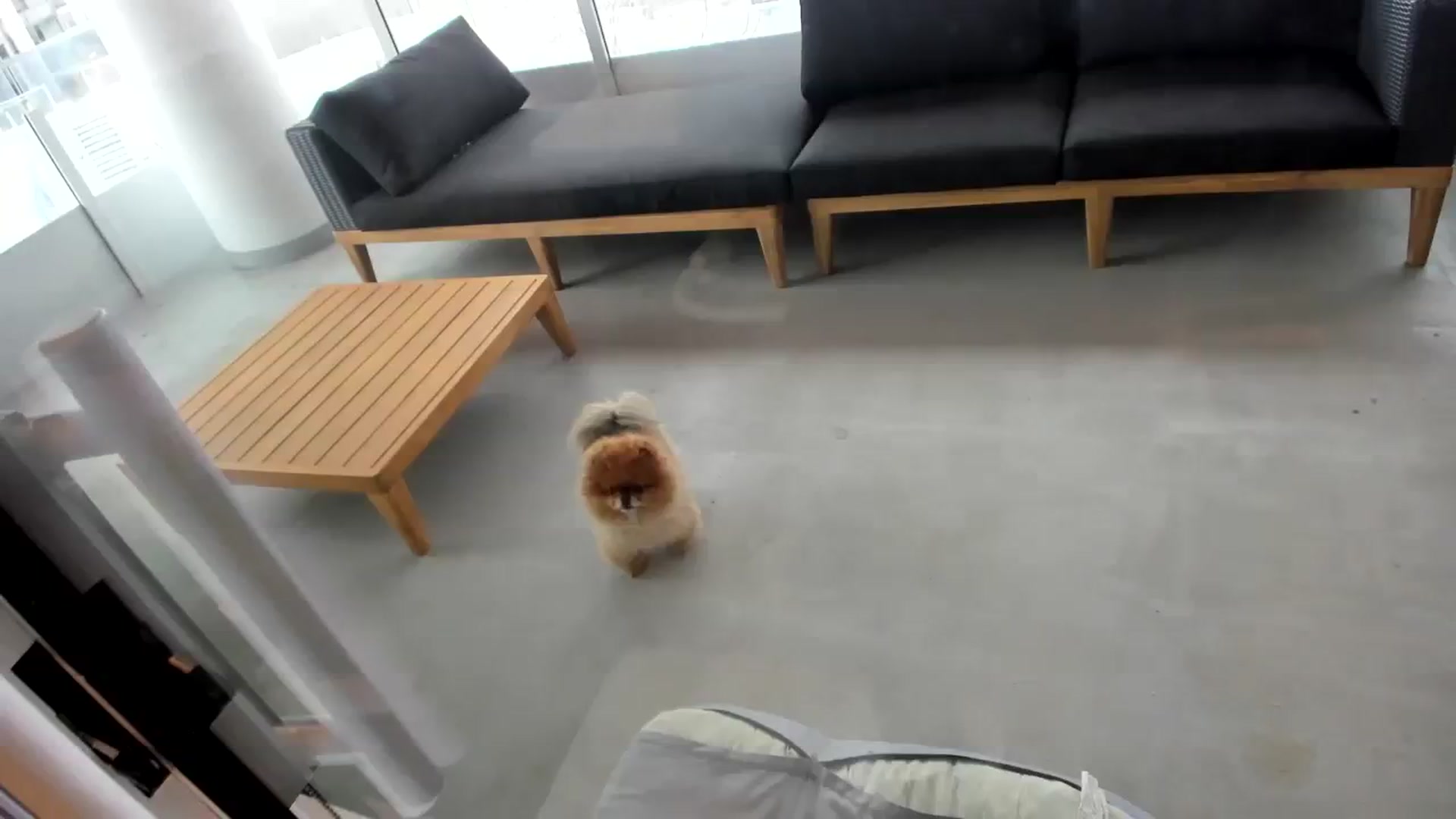 Gallery image thumbnail from Mollyboots's myfreecams stream on, 02/11/2024, 20:52 image 1 of 20
