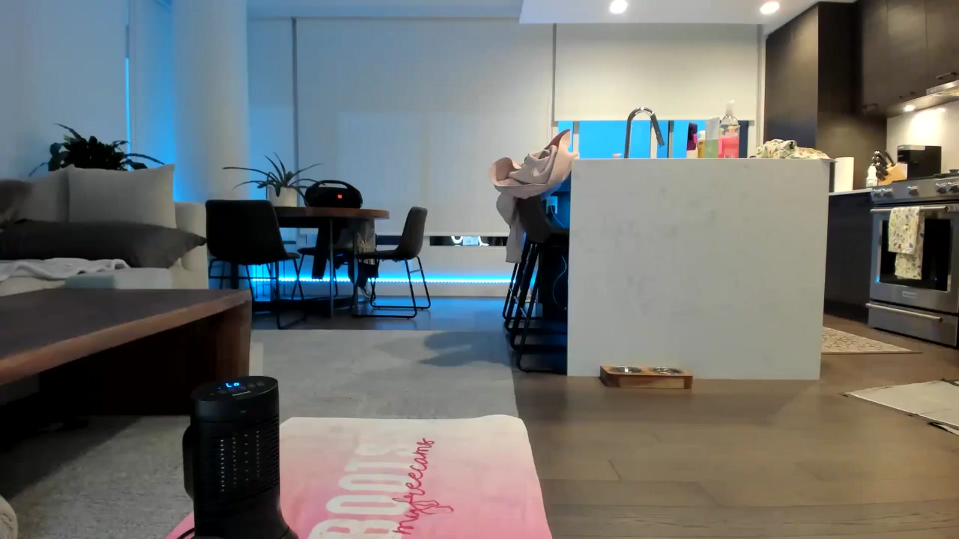 Gallery image thumbnail from Mollyboots's myfreecams stream on, 04/30/2024, 03:41 image 2 of 20