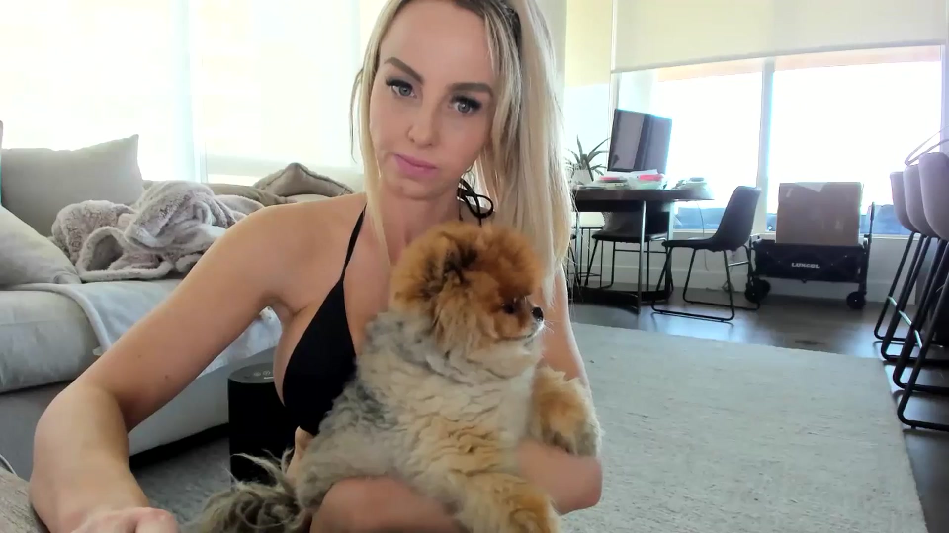 Gallery image thumbnail from Mollyboots's myfreecams stream on, 06/08/2024, 02:25 image 2 of 20