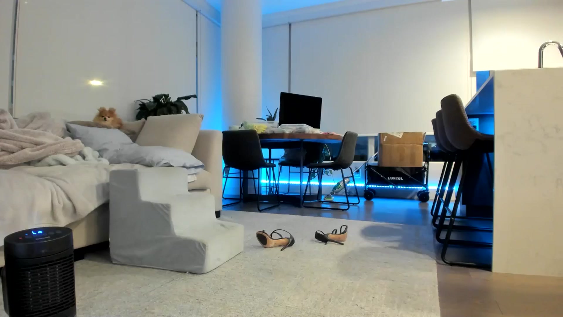 Gallery image thumbnail from Mollyboots's myfreecams stream on, 06/15/2024, 04:54 image 19 of 20