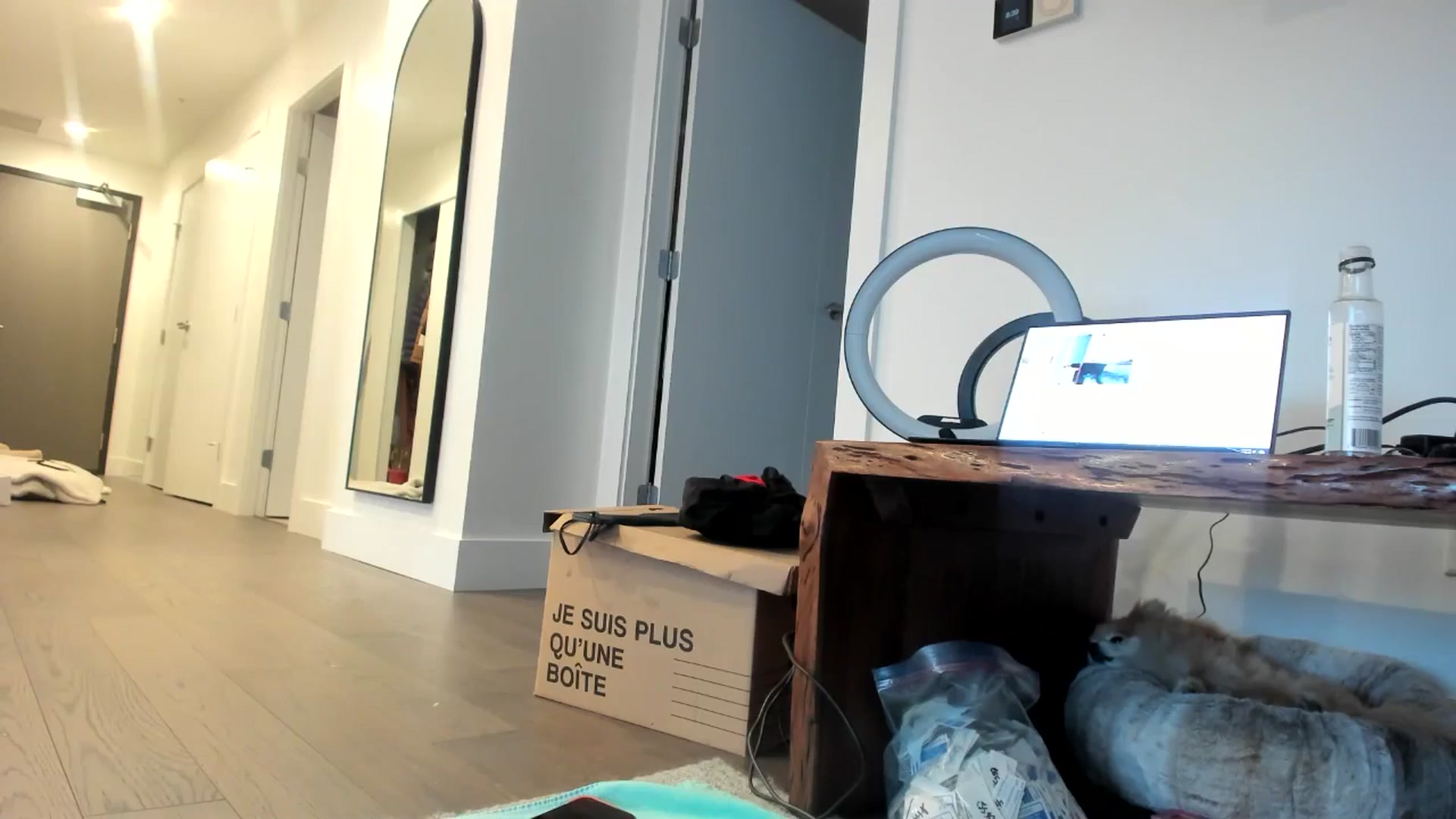 Gallery image thumbnail from Mollyboots's myfreecams stream on, 06/19/2024, 04:05 image 11 of 20