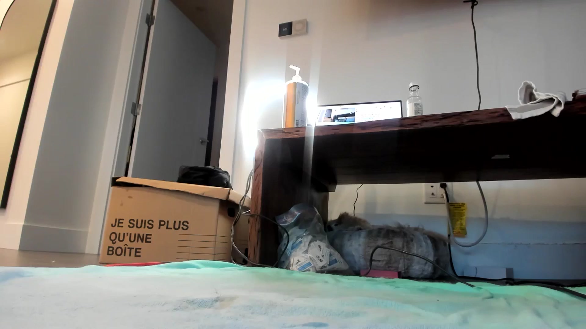 Gallery image thumbnail from Mollyboots's myfreecams stream on, 06/19/2024, 04:05 image 16 of 20