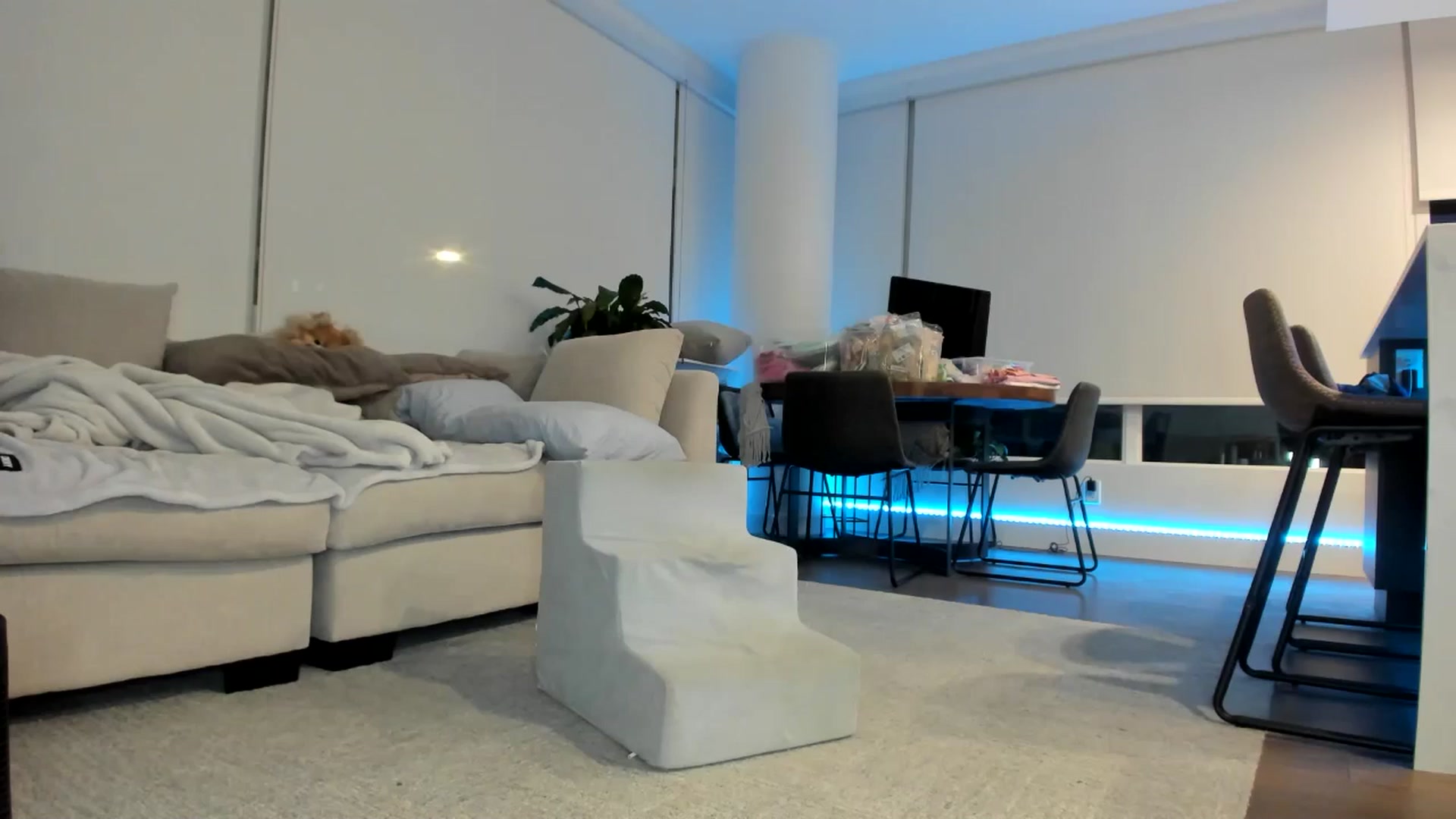 Gallery image thumbnail from Mollyboots's myfreecams stream on, 07/05/2024, 04:57 image 20 of 20