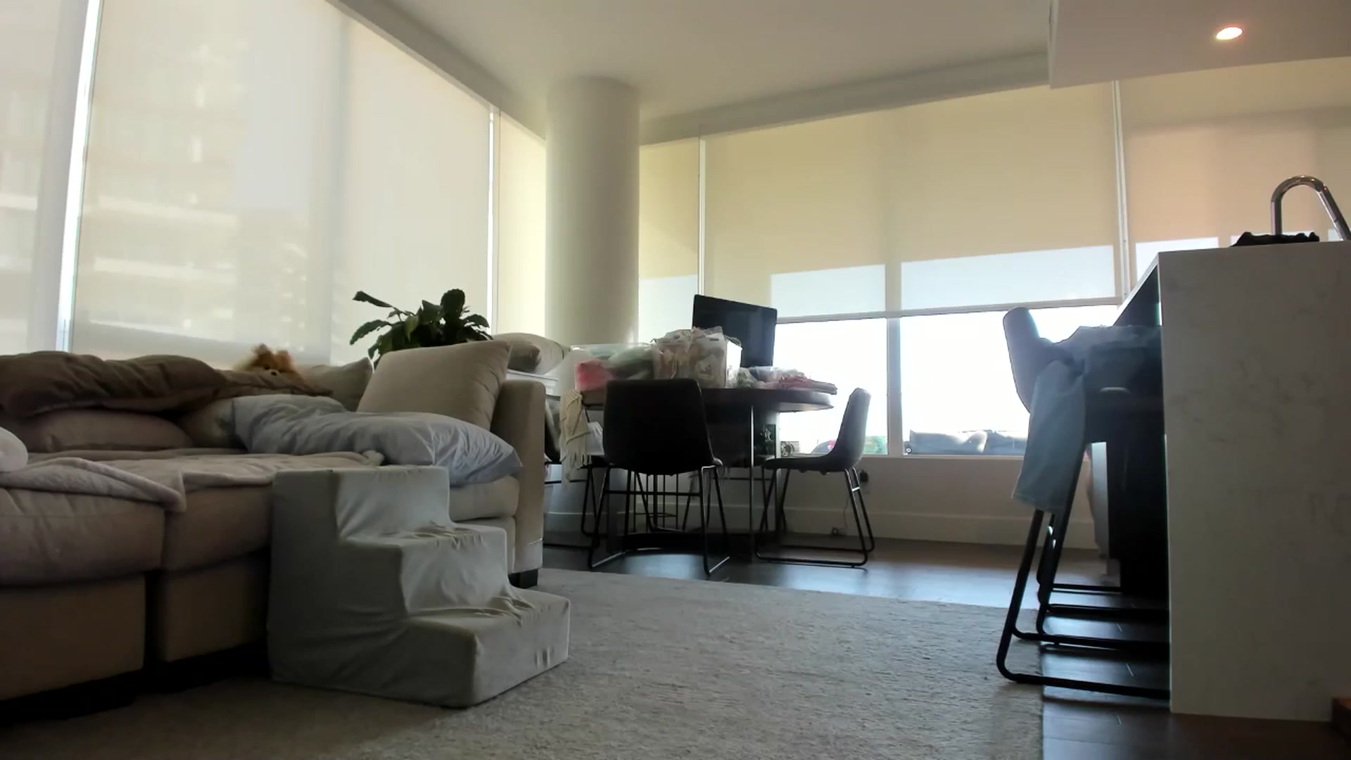 Gallery image thumbnail from Mollyboots's myfreecams stream on, 07/05/2024, 23:37 image 16 of 20