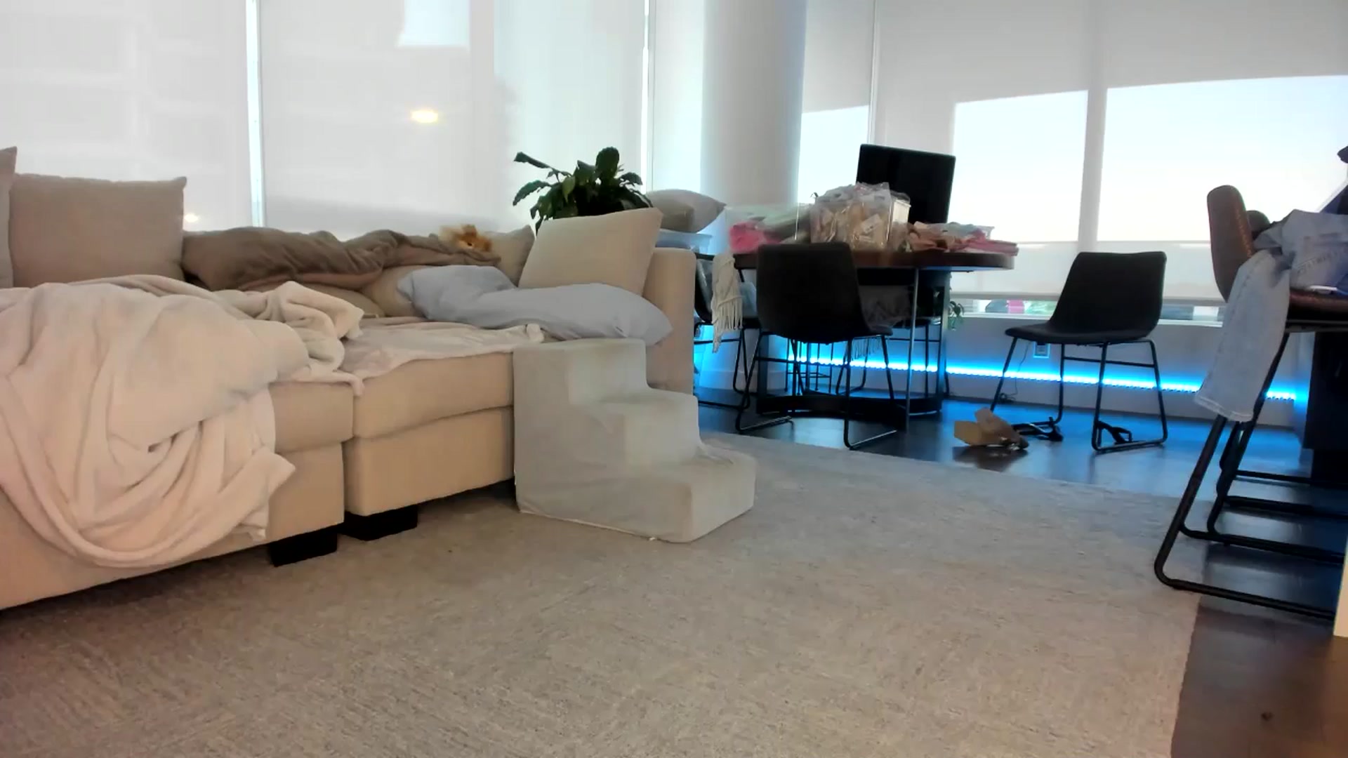 Gallery image thumbnail from Mollyboots's myfreecams stream on, 07/06/2024, 04:44 image 6 of 20