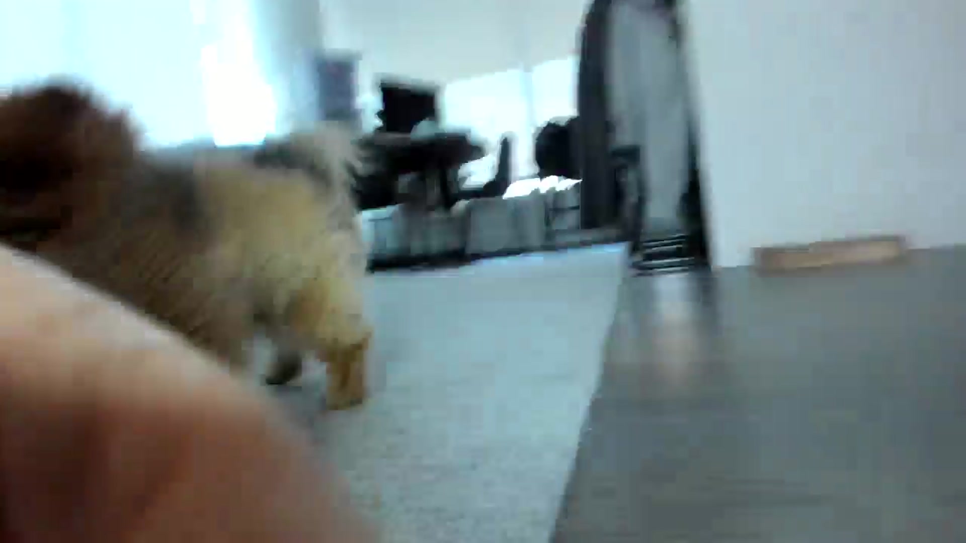 Gallery image thumbnail from Mollyboots's myfreecams stream on, 08/02/2024, 04:02 image 10 of 20