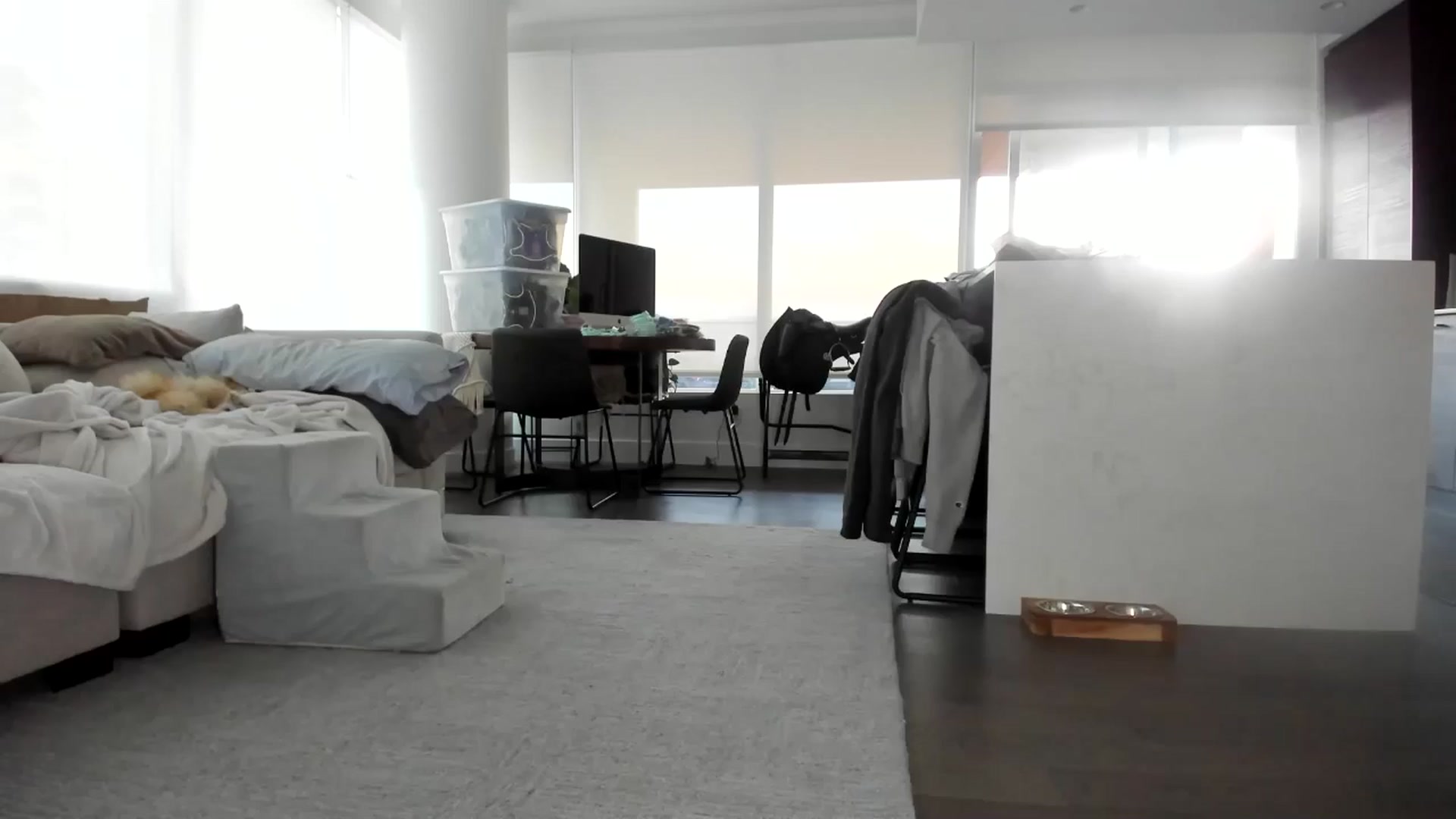 Gallery image thumbnail from Mollyboots's myfreecams stream on, 08/02/2024, 04:02 image 3 of 20