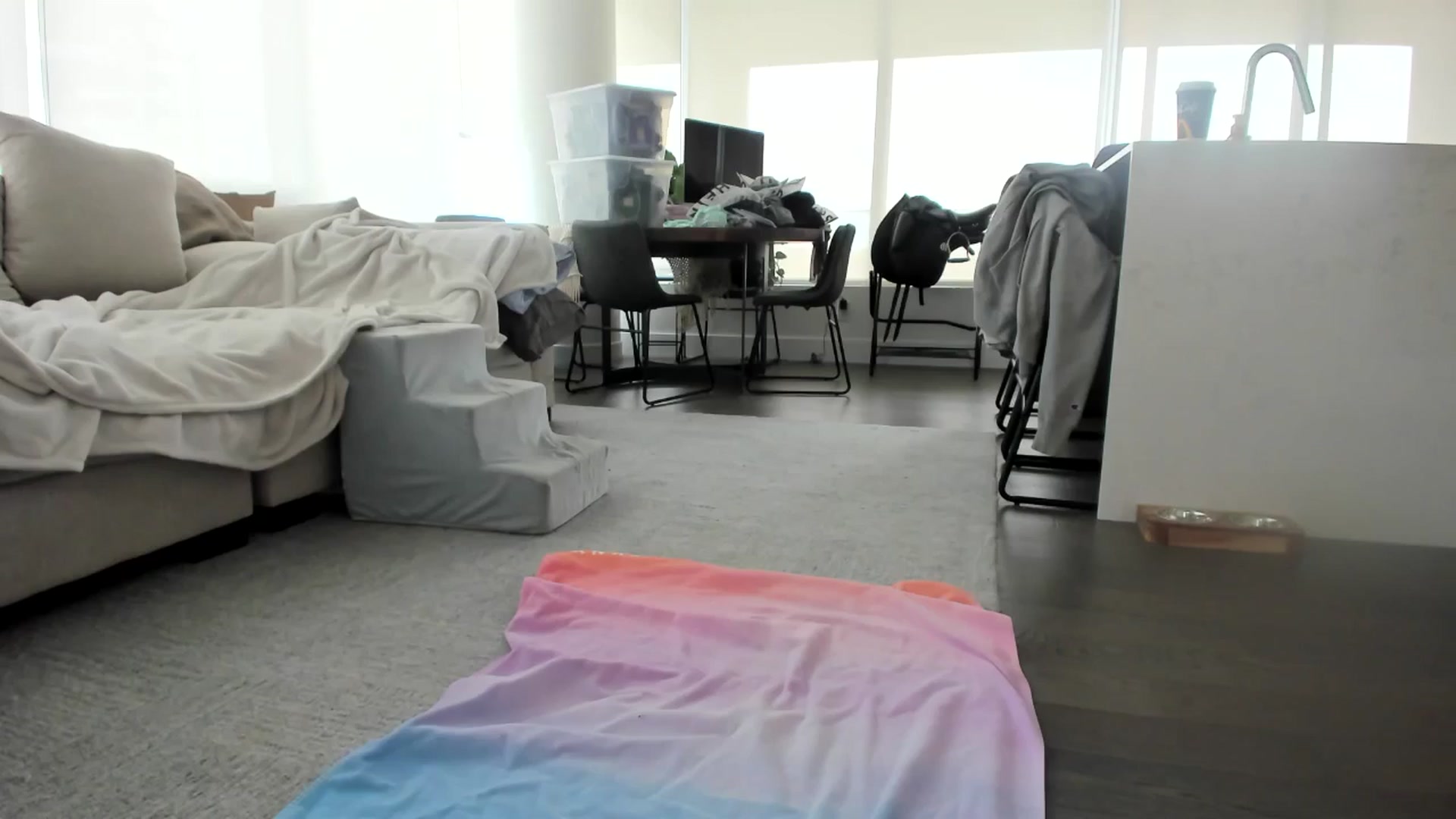 Gallery image thumbnail from Mollyboots's myfreecams stream on, 08/02/2024, 22:58 image 4 of 20