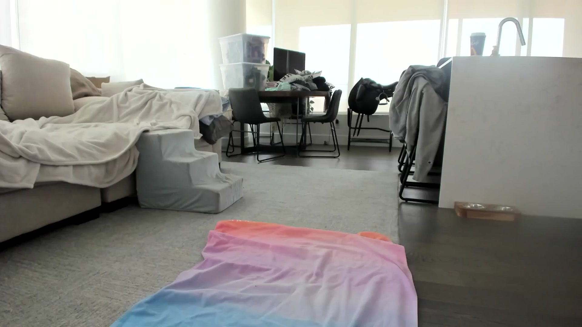 Gallery image thumbnail from Mollyboots's myfreecams stream on, 08/02/2024, 22:58 image 2 of 20