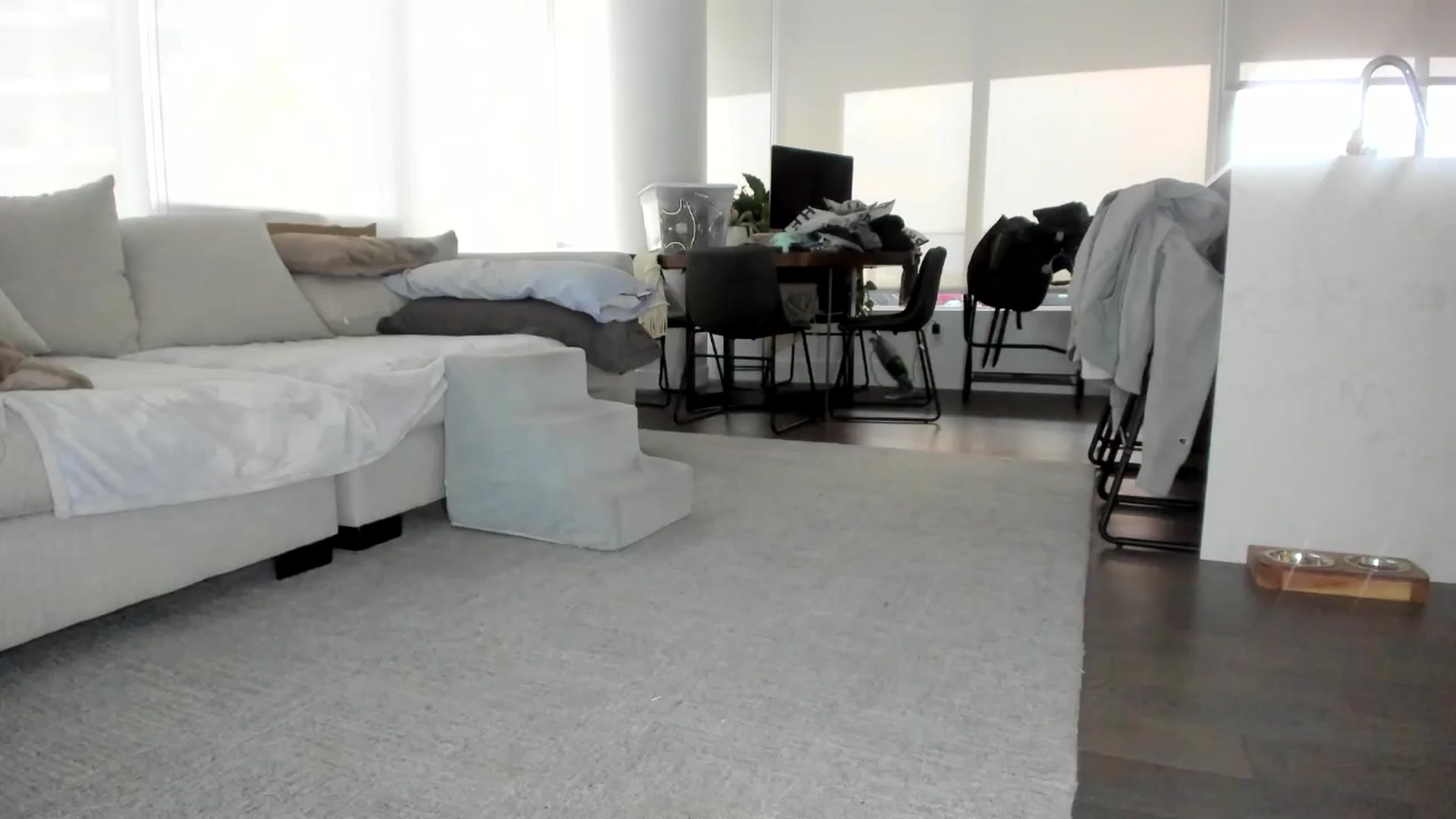 Gallery image thumbnail from Mollyboots's myfreecams stream on, 08/04/2024, 03:35 image 19 of 20