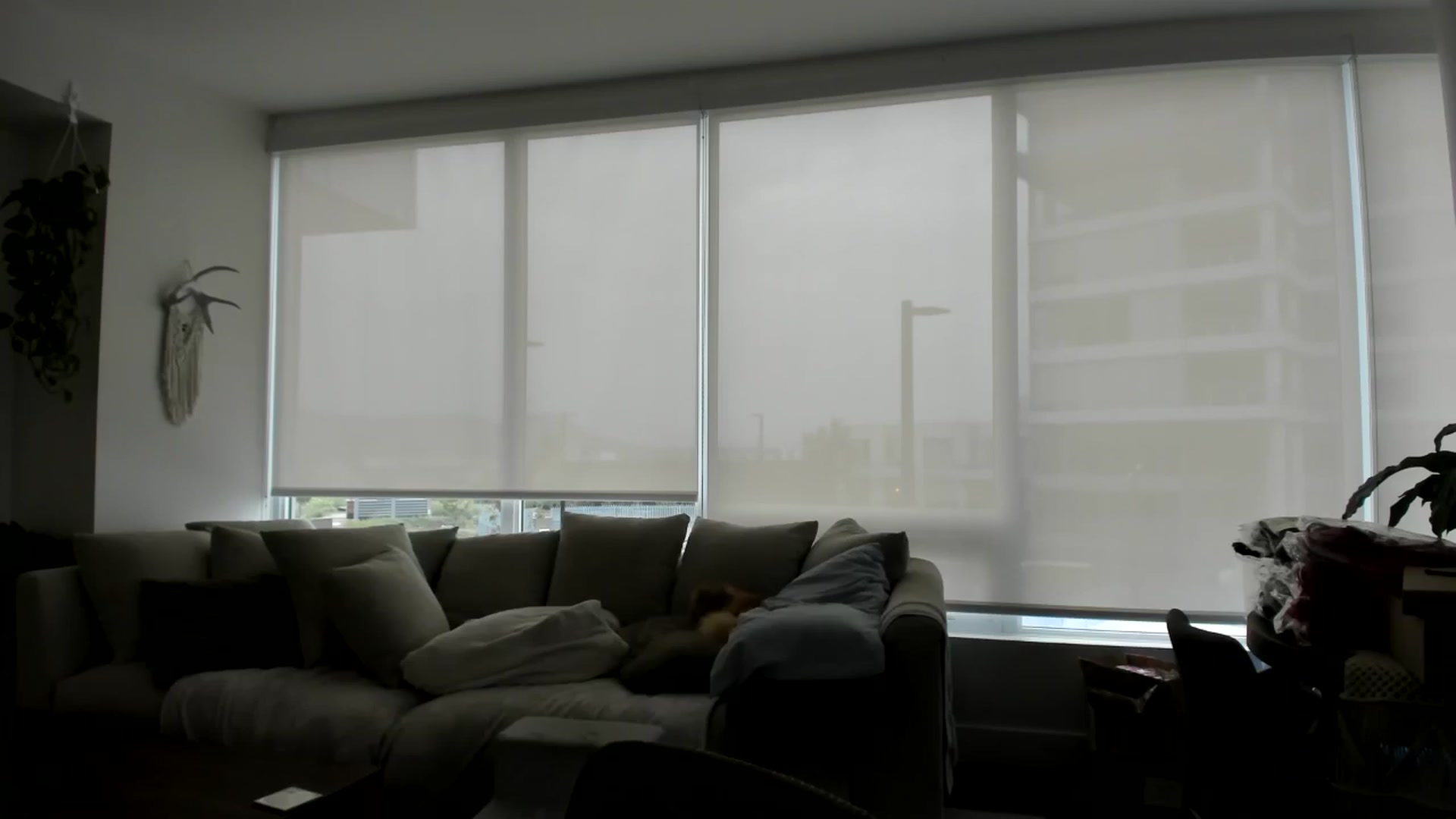 Gallery image thumbnail from Mollyboots's myfreecams stream on, 08/24/2024, 22:31 image 14 of 20