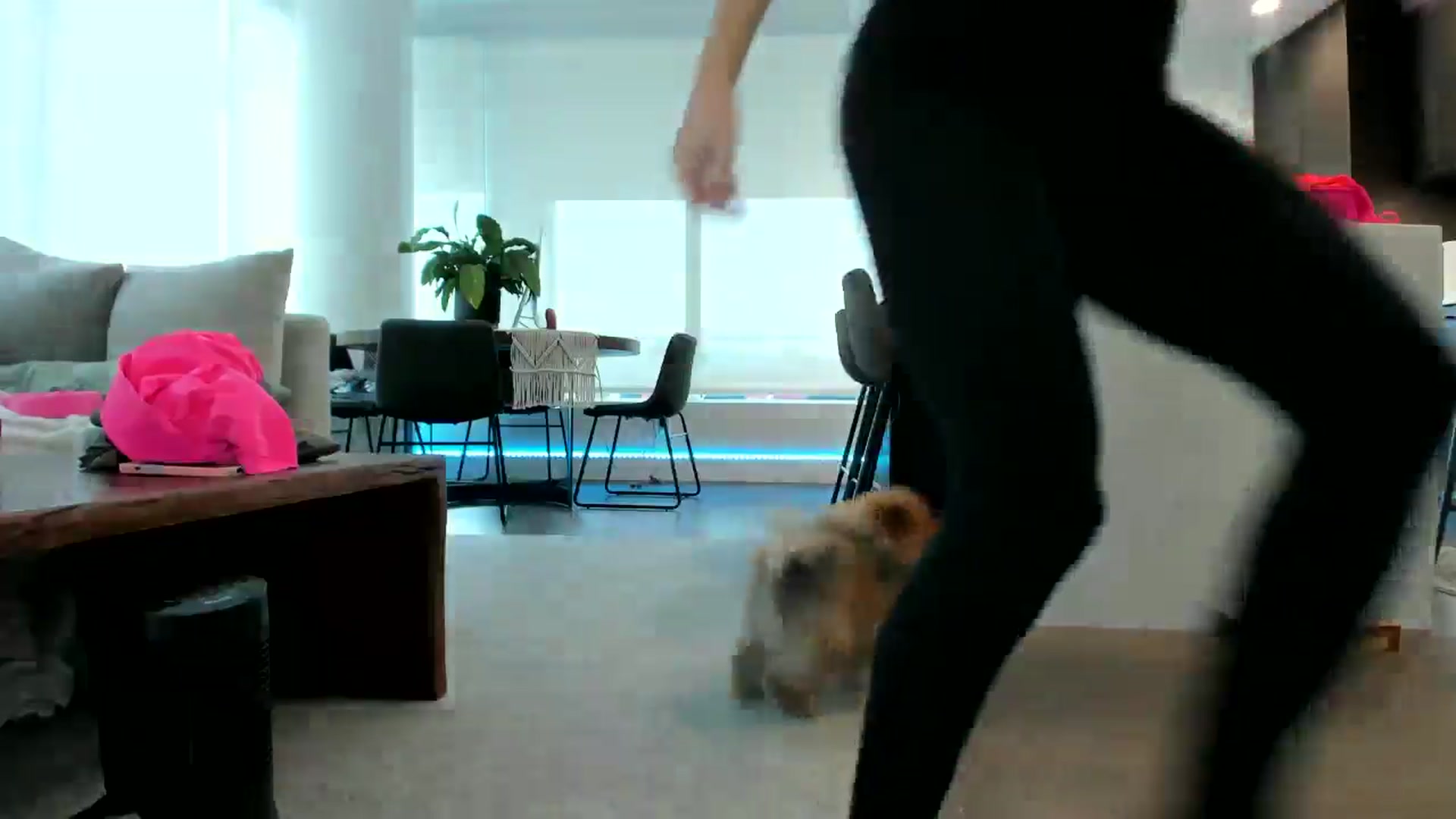 Gallery image thumbnail from Mollyboots's myfreecams stream on, 09/22/2024, 20:12 image 16 of 20
