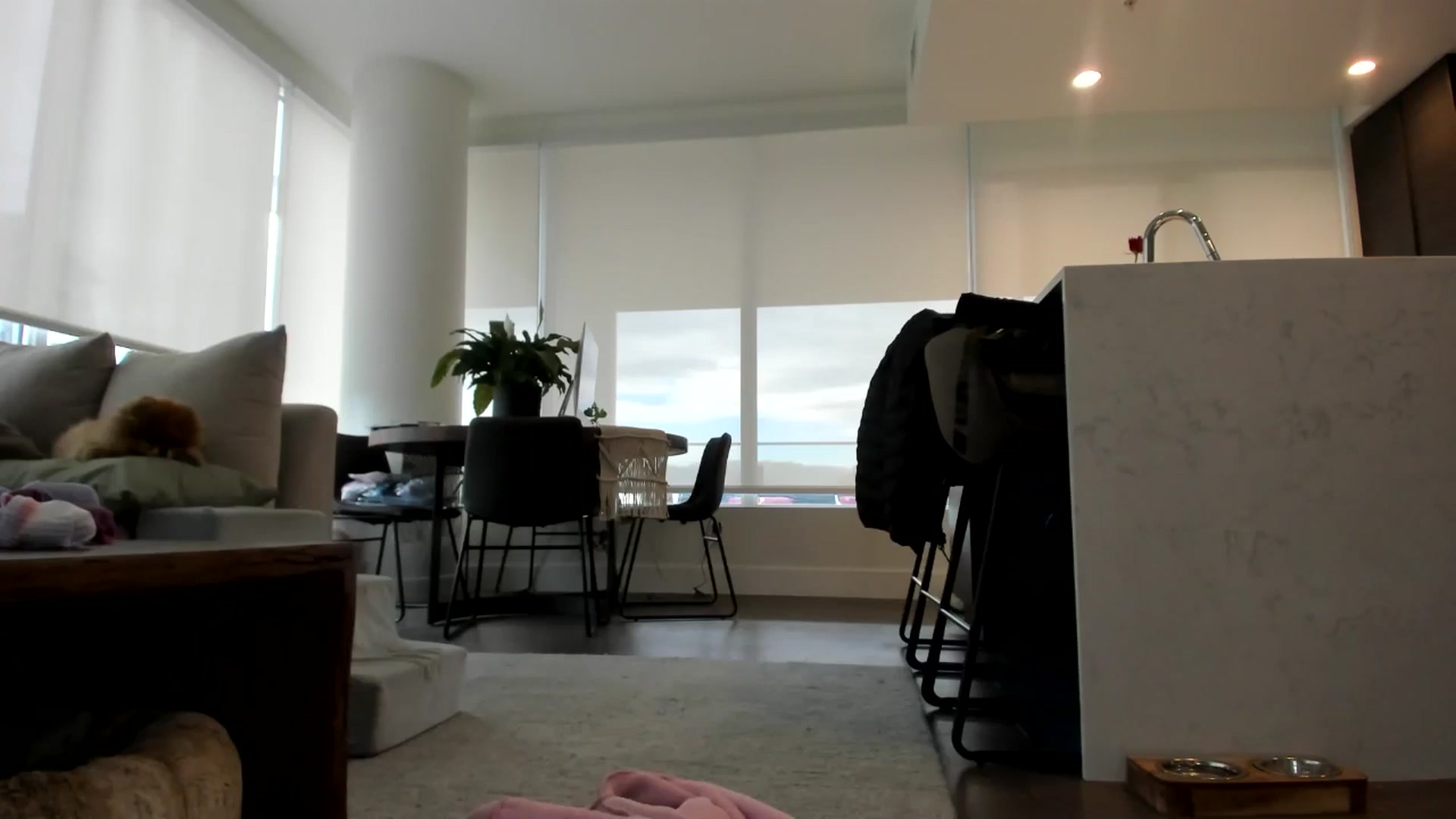 Gallery image thumbnail from Mollyboots's myfreecams stream on, 10/01/2024, 17:46 image 3 of 20