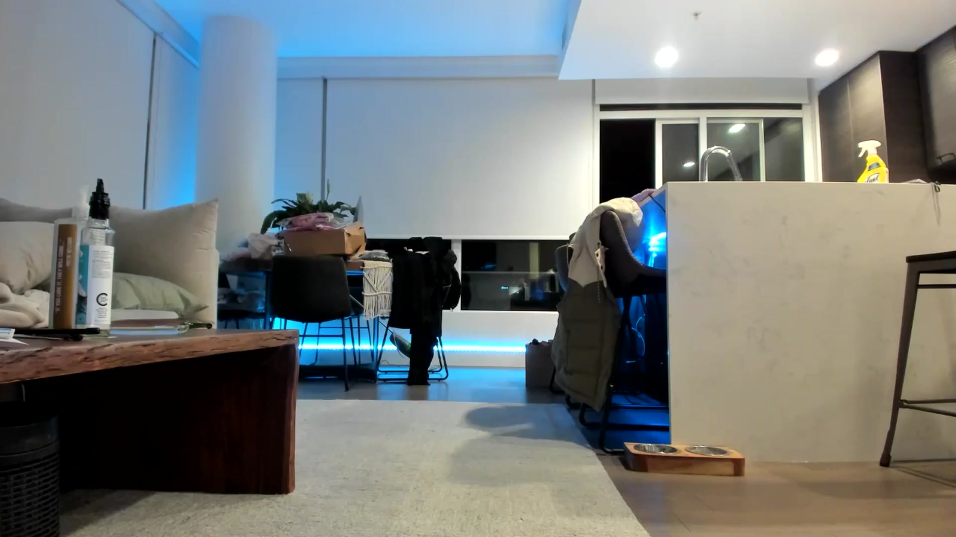 Gallery image thumbnail from Mollyboots's myfreecams stream on, 10/11/2024, 04:02 image 9 of 20