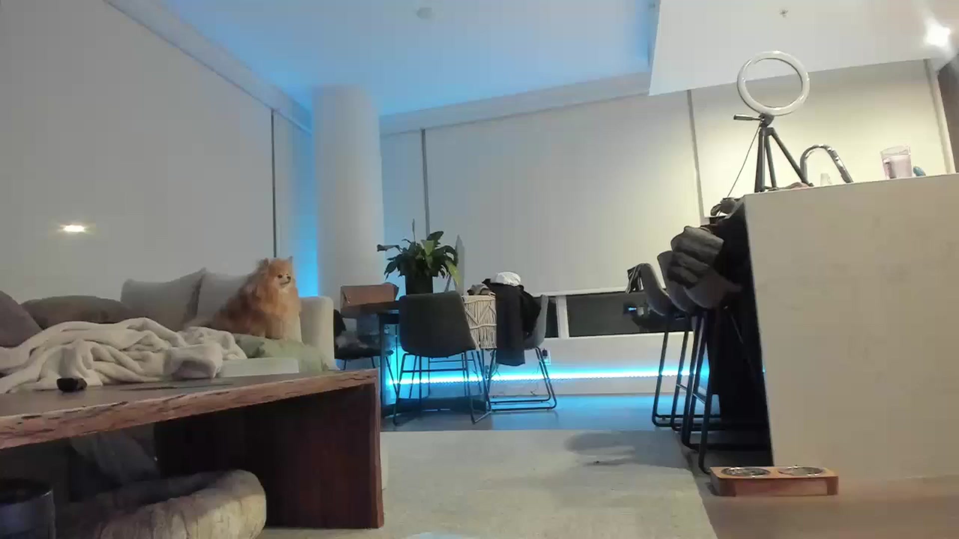 Gallery image thumbnail from Mollyboots's myfreecams stream on, 10/21/2024, 03:09 image 18 of 20