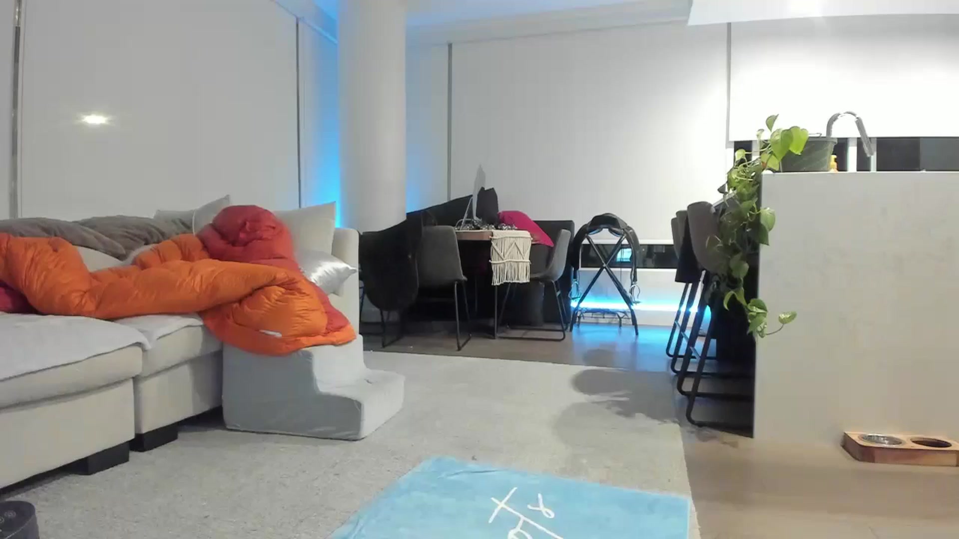 Gallery image thumbnail from Mollyboots's myfreecams stream on, 11/02/2024, 03:54 image 3 of 20