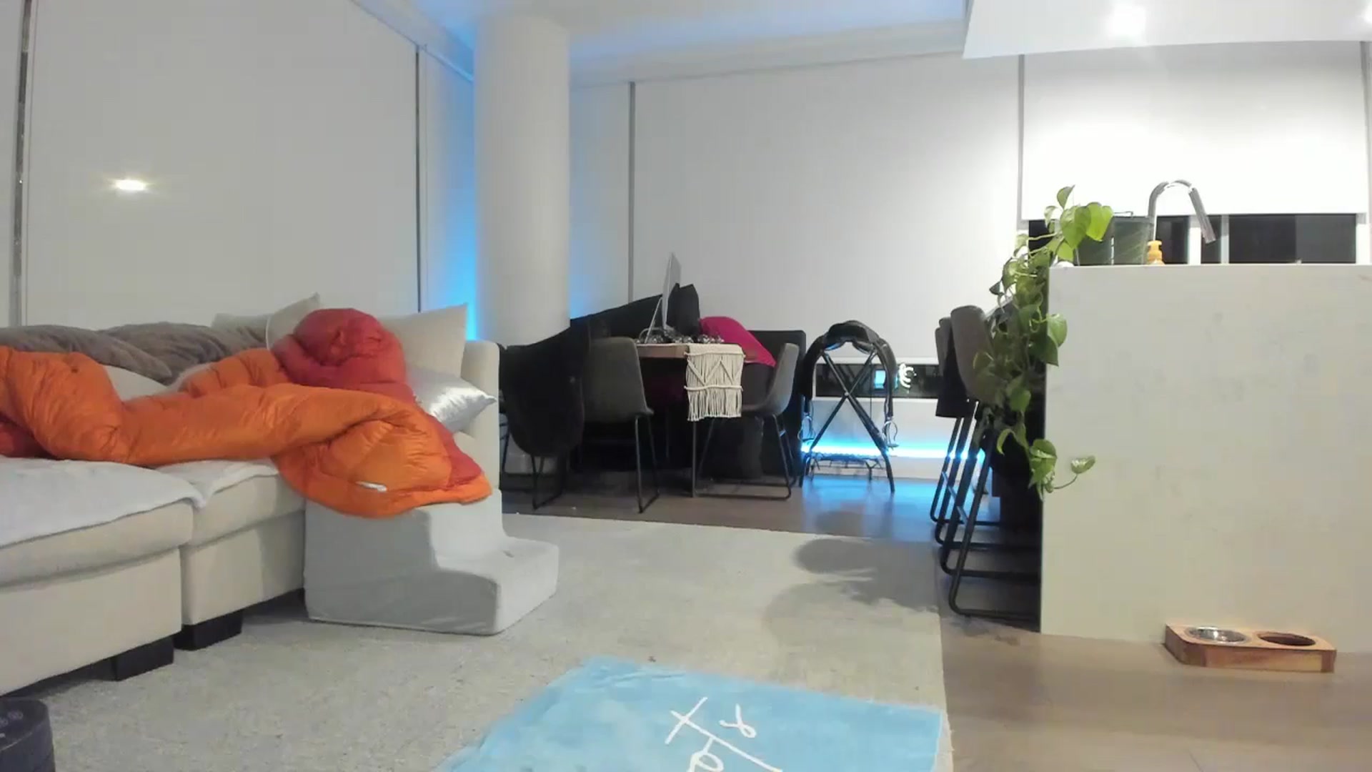 Gallery image thumbnail from Mollyboots's myfreecams stream on, 11/02/2024, 03:54 image 7 of 20