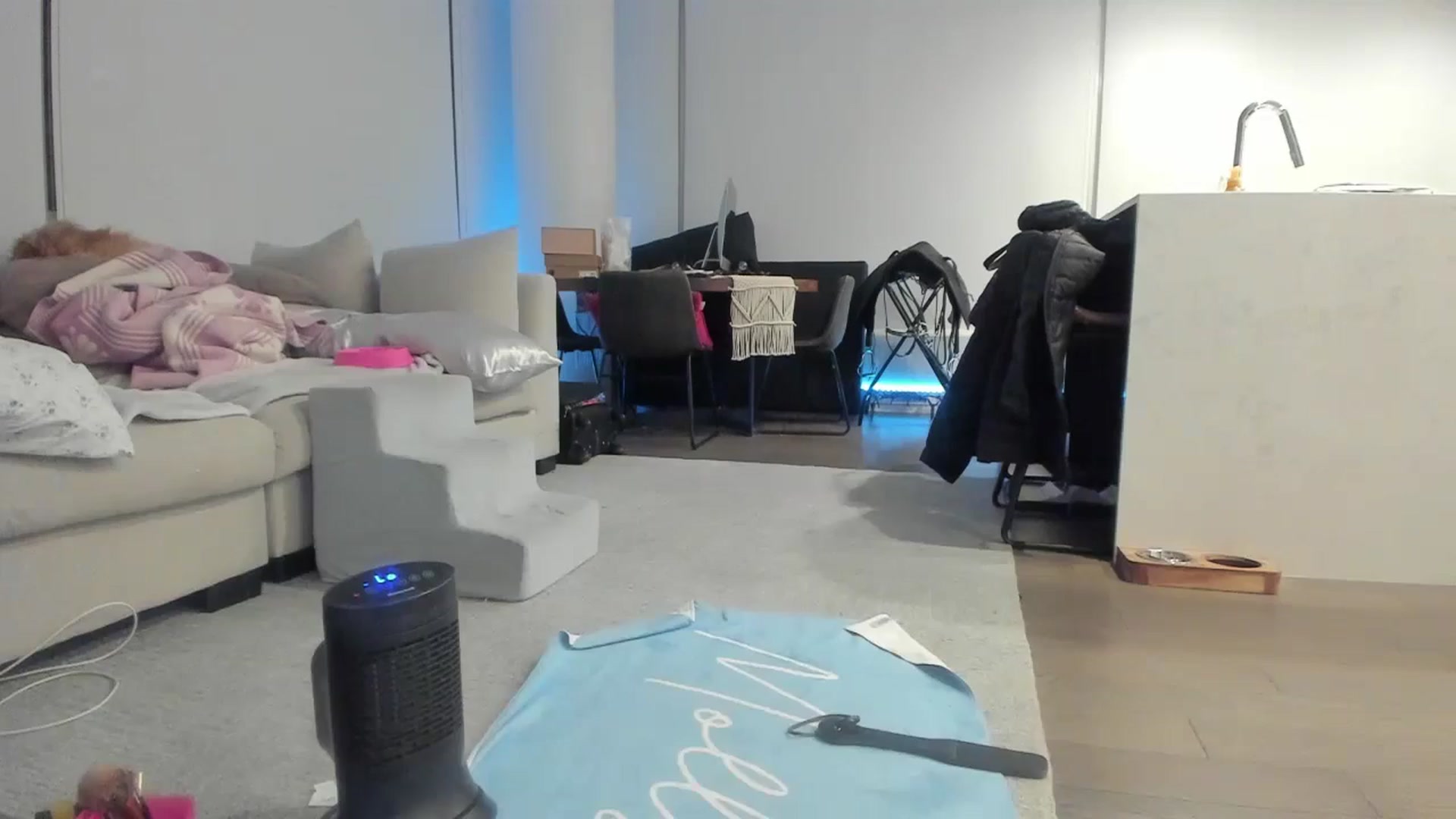 Gallery image thumbnail from Mollyboots's myfreecams stream on, 11/09/2024, 04:52 image 15 of 20