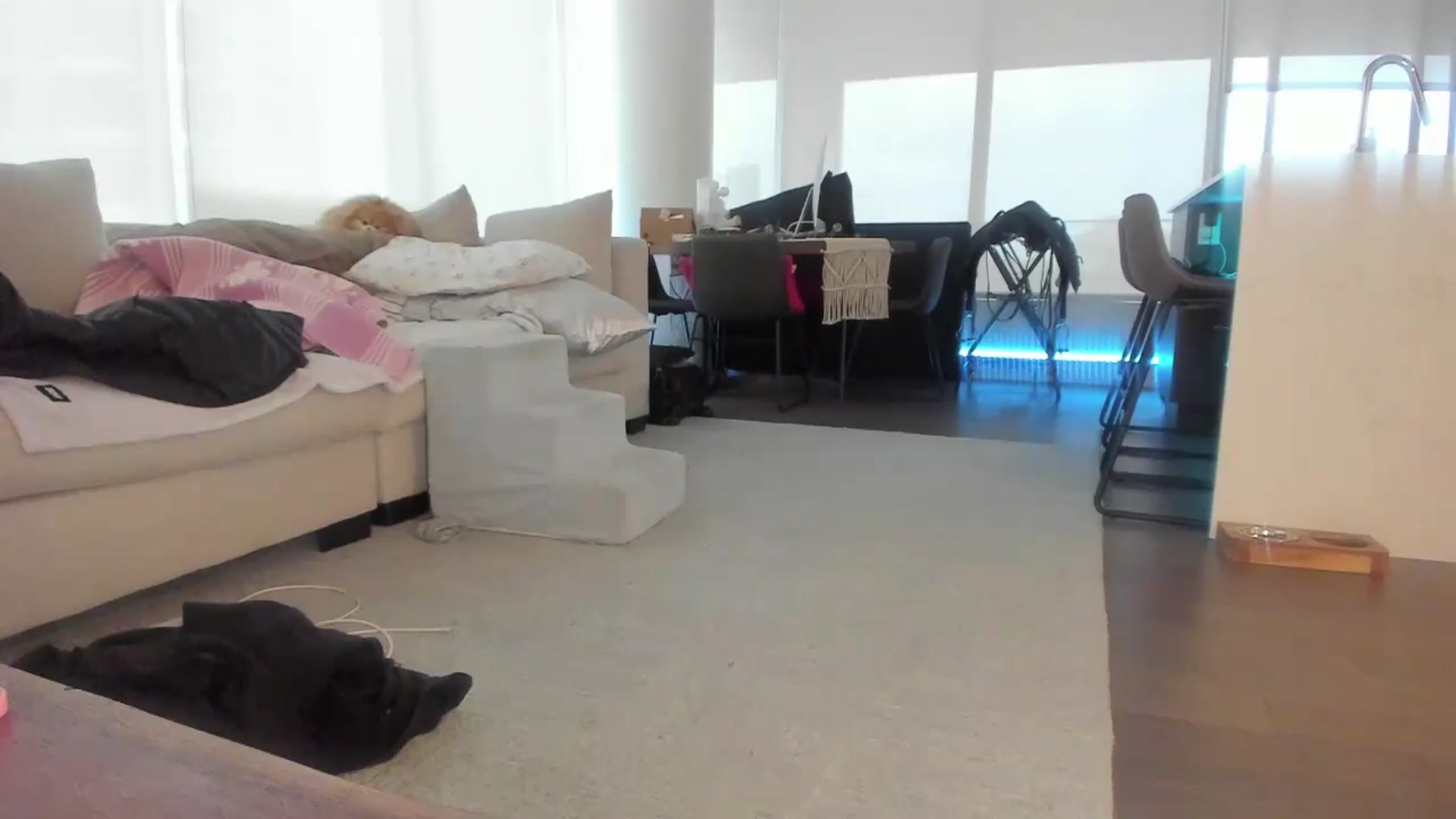 Gallery image thumbnail from Mollyboots's myfreecams stream on, 11/09/2024, 23:44 image 9 of 20