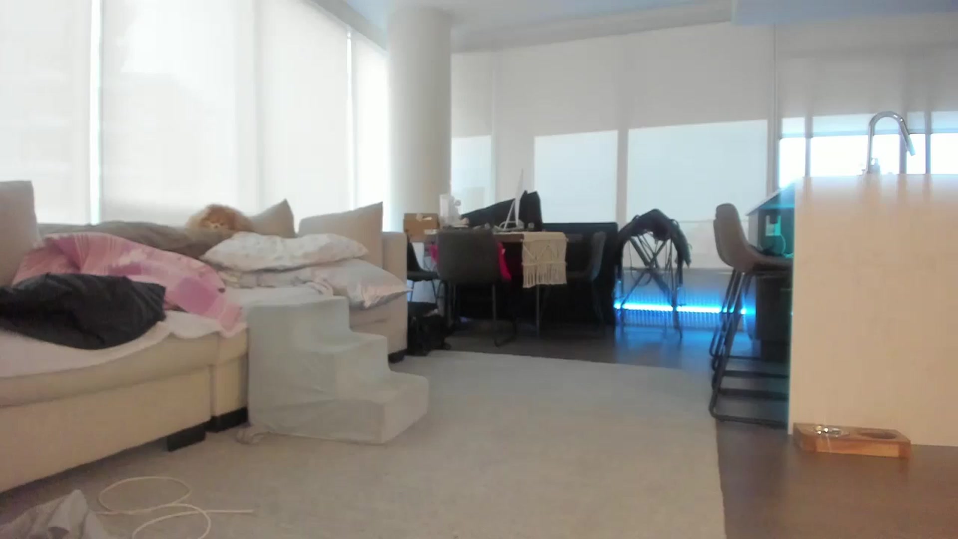 Gallery image thumbnail from Mollyboots's myfreecams stream on, 11/09/2024, 23:44 image 1 of 20