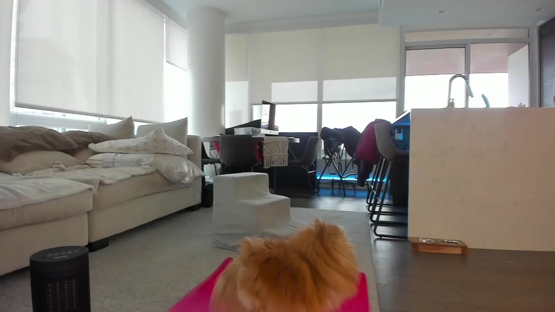 Gallery image thumbnail from Mollyboots's myfreecams stream on, 11/11/2024, 22:58 image 14 of 20
