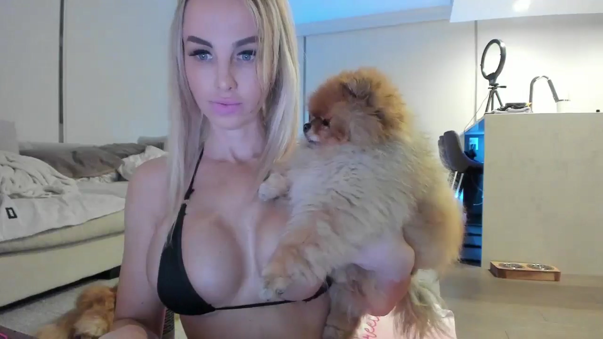 Gallery image thumbnail from Mollyboots's myfreecams stream on, 11/24/2024, 04:09 image 9 of 20