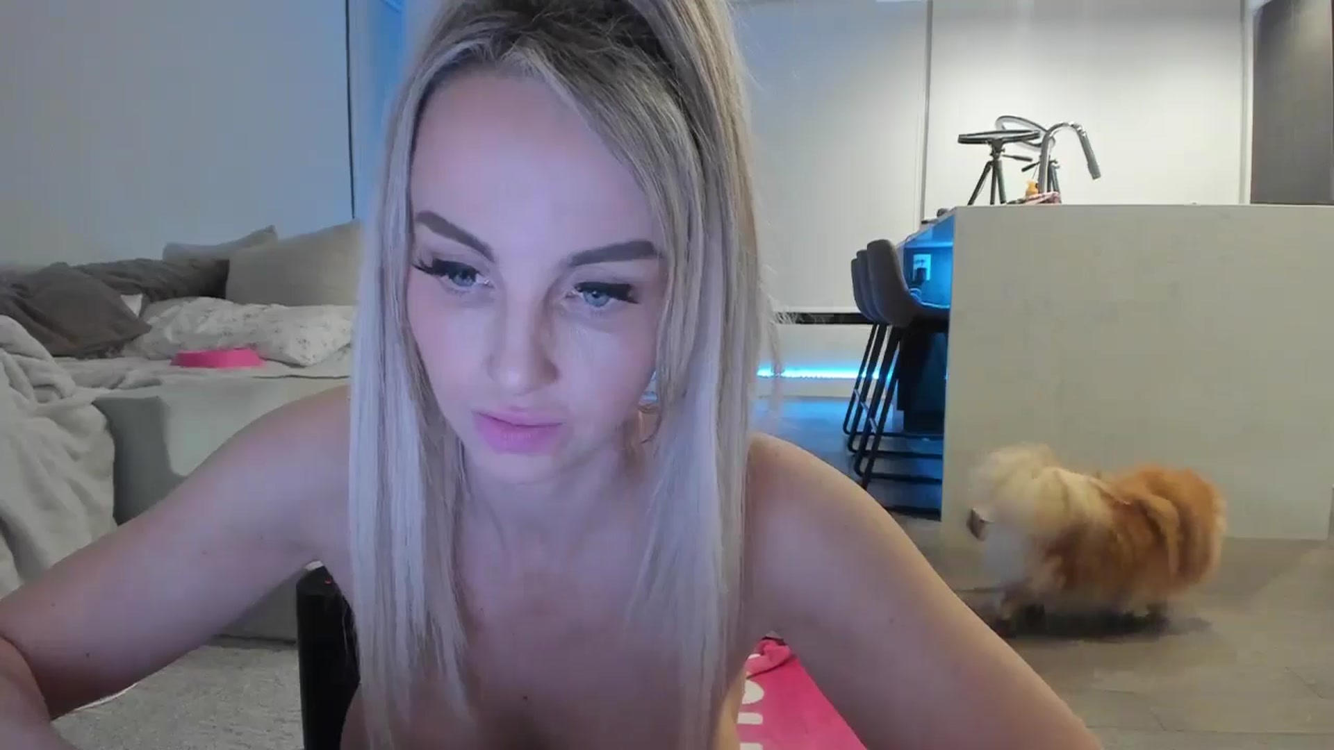 Gallery image thumbnail from Mollyboots's myfreecams stream on, 11/27/2024, 05:08 image 3 of 20