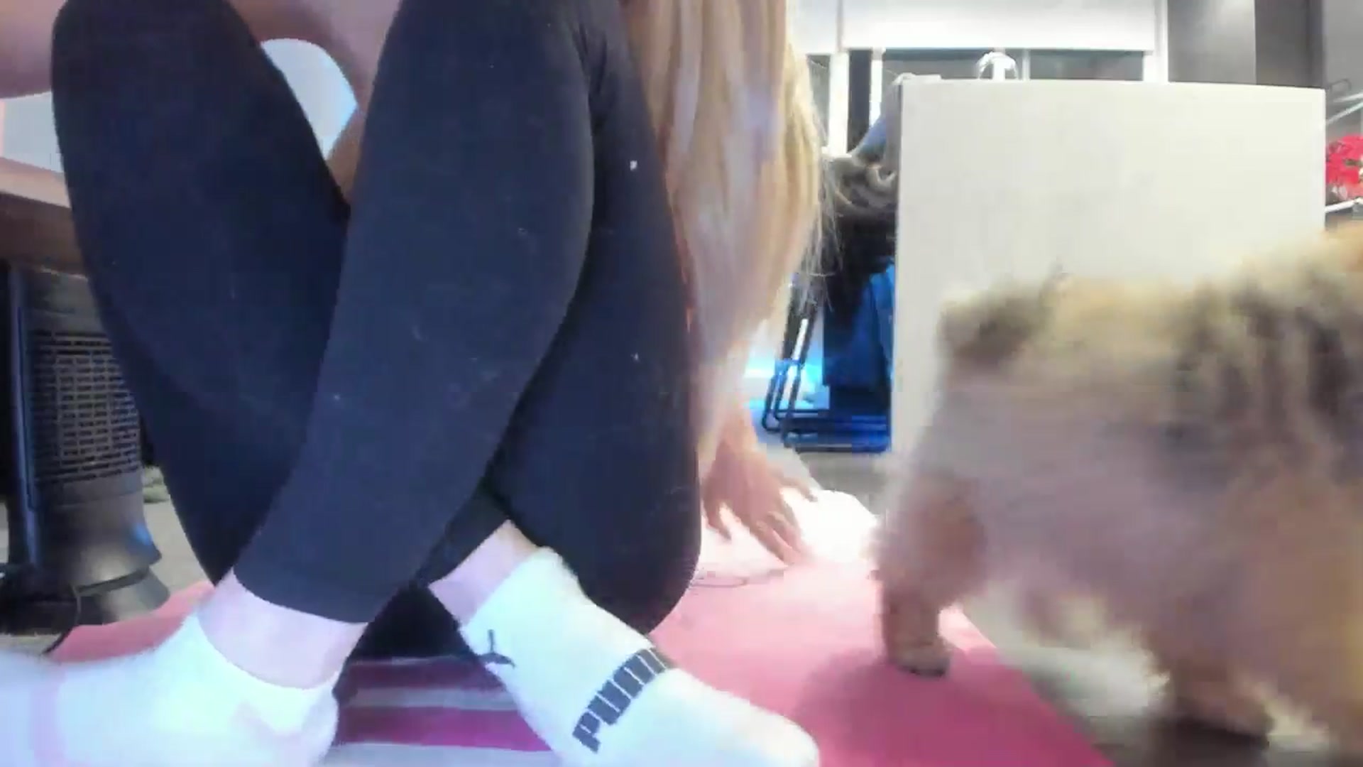 Gallery image thumbnail from Mollyboots's myfreecams stream on, 01/03/2025, 04:36 image 15 of 20