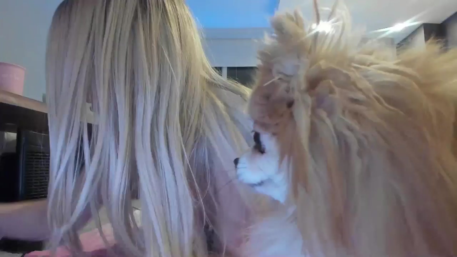 Gallery image thumbnail from Mollyboots's myfreecams stream on, 01/03/2025, 04:36 image 8 of 20