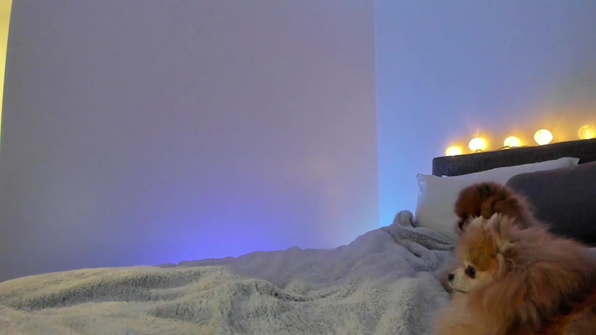 Gallery image thumbnail from Mollyboots's myfreecams stream on, 01/08/2025, 03:13 image 2 of 20
